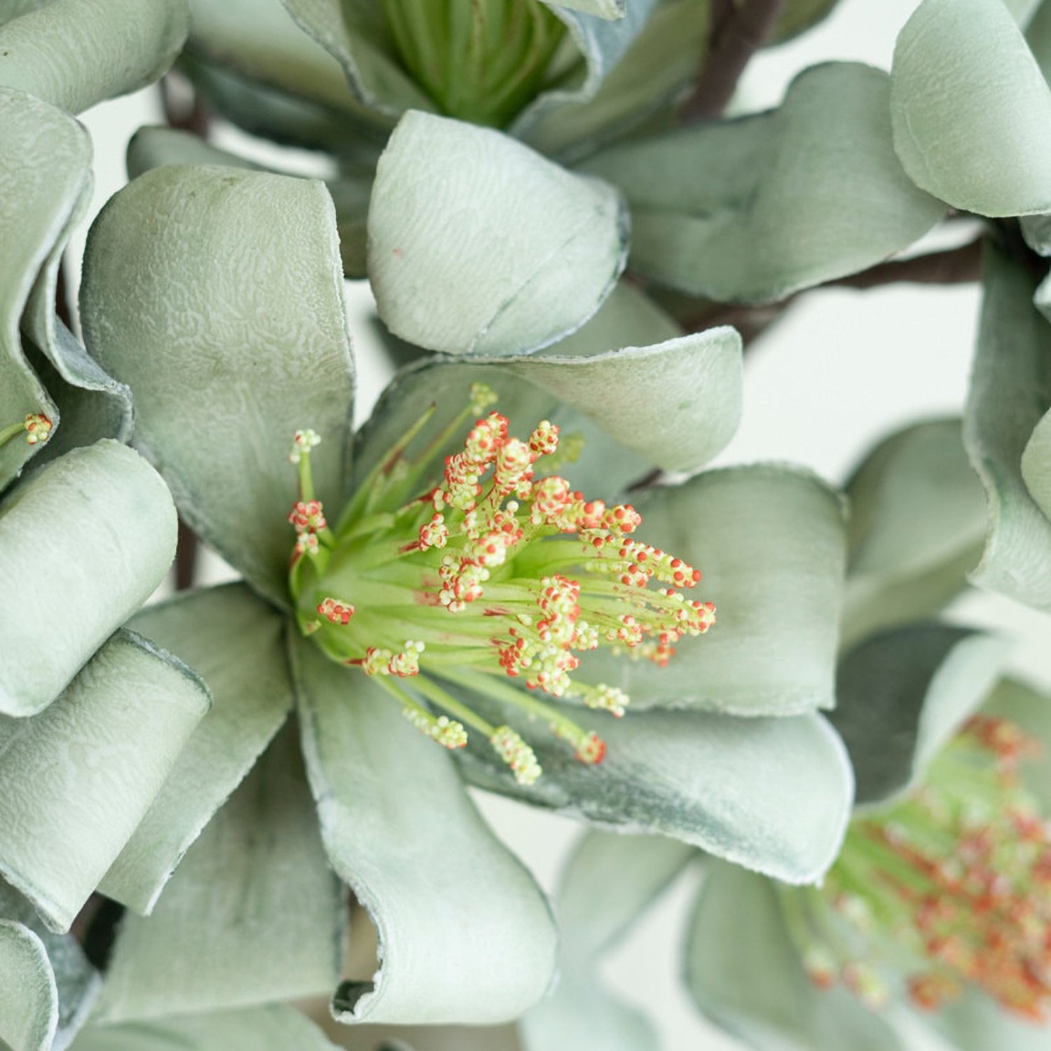 Botanica #3596 Faux Plant Stem Set of 6