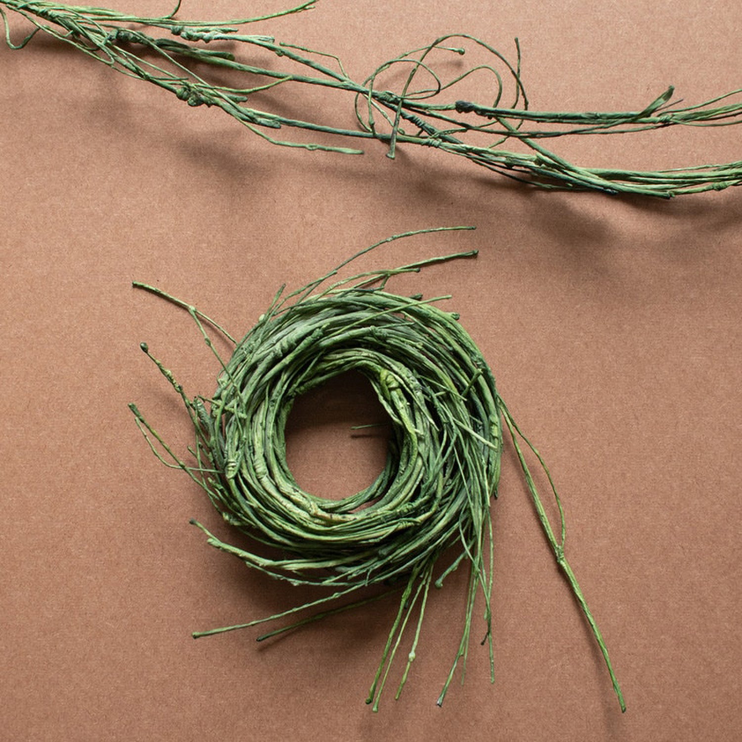 Faux Grape Vine Set of 12