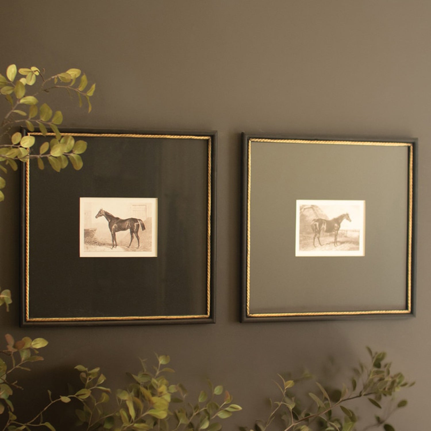 Horses Framed Print Under Glass Set of 2