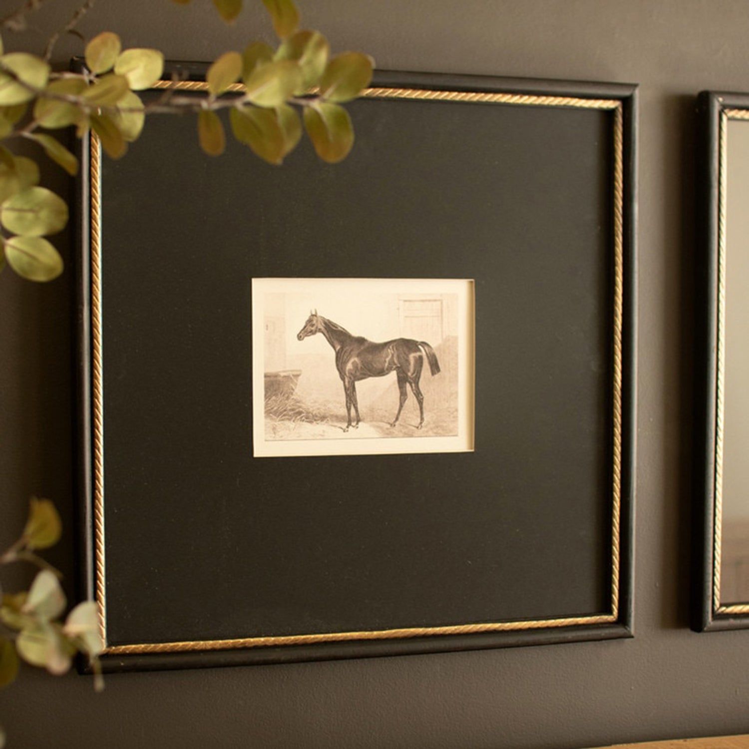 Horses Framed Print Under Glass Set of 2