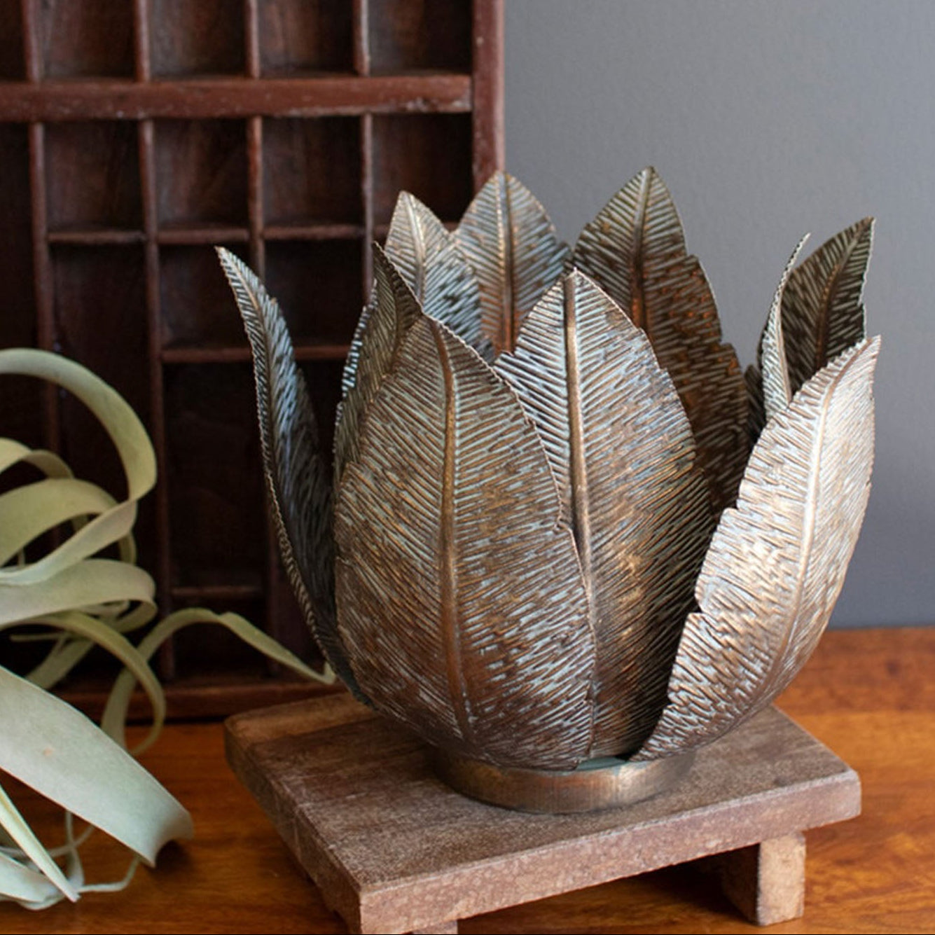 Leaf Base Hurricane