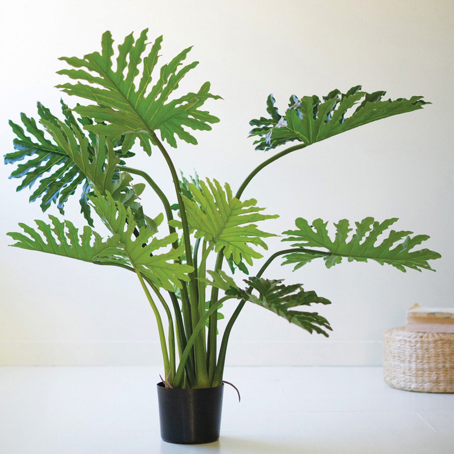 faux split leaf philodendron Split Leaf Palm Tree in A Black Plastic Pot