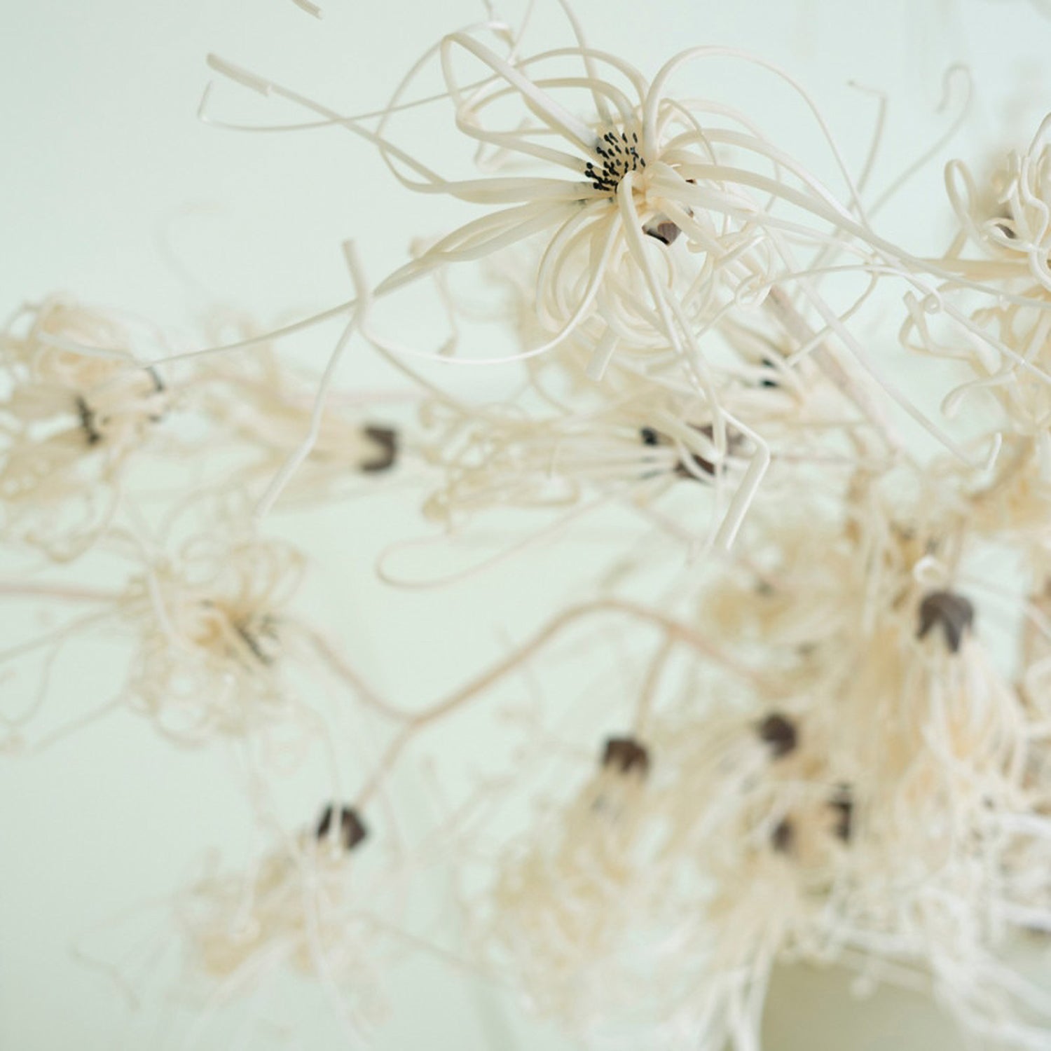 Botanica #2801 Faux Plant Stem Set of 6