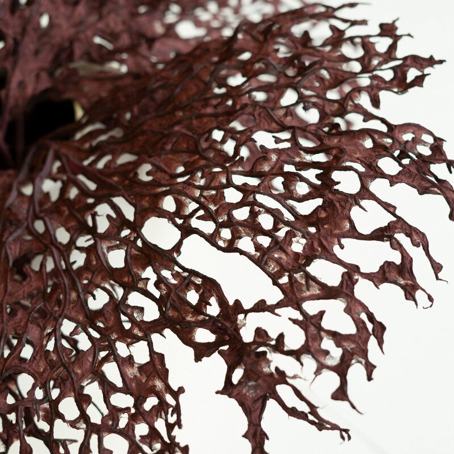 Botanica #2808 Faux Plant Stem Set of 6