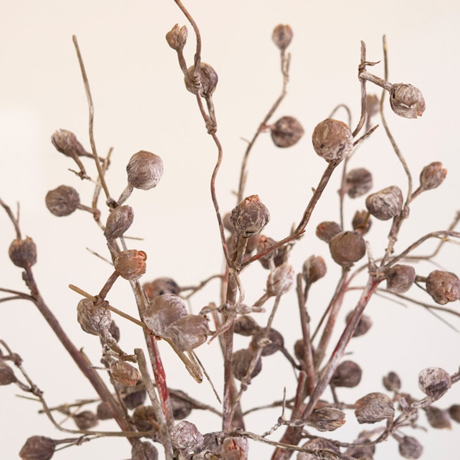 Botanica #2863 Faux Plant Stem Set of 6