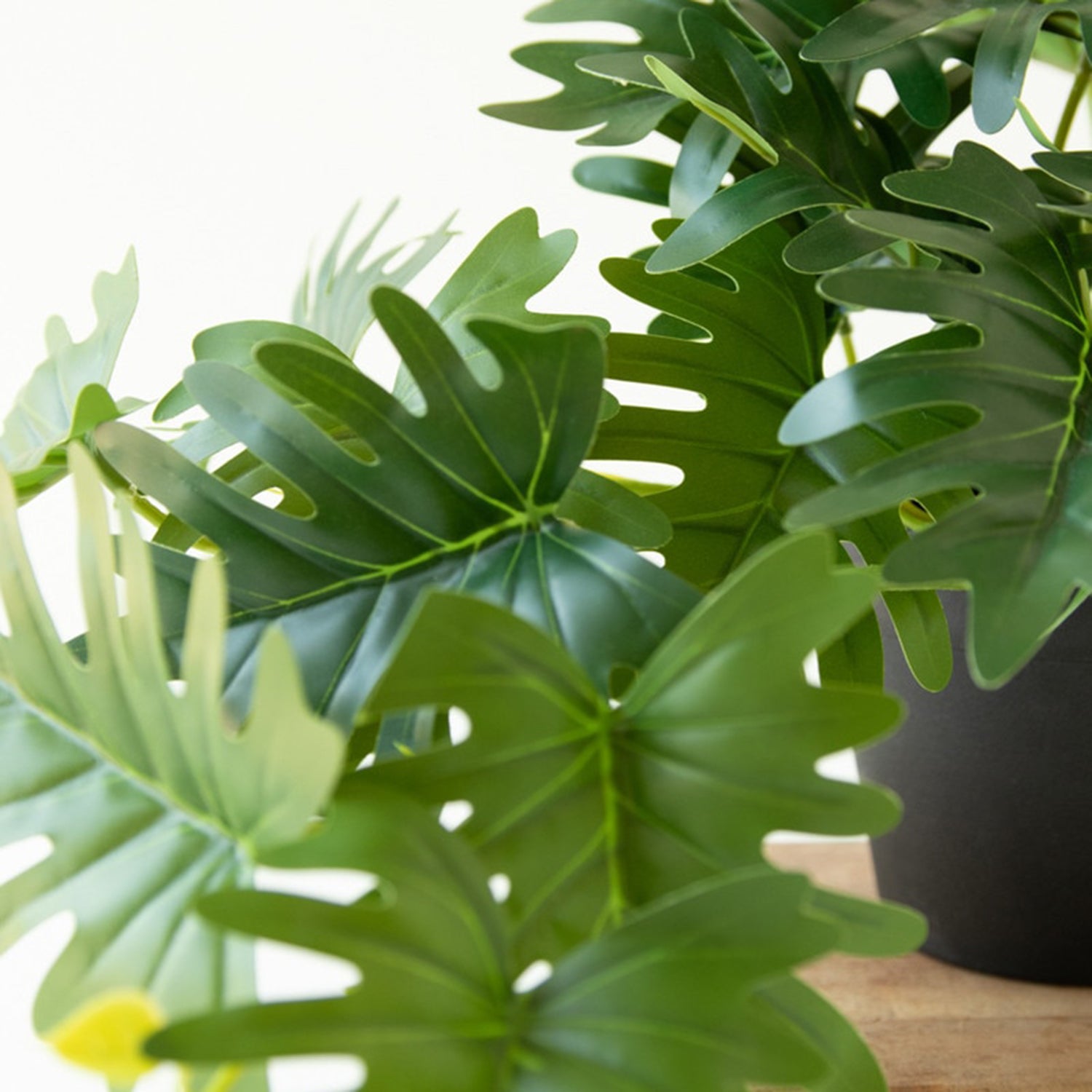 Artificial Mini Philodendron in a Black Plastic Pot