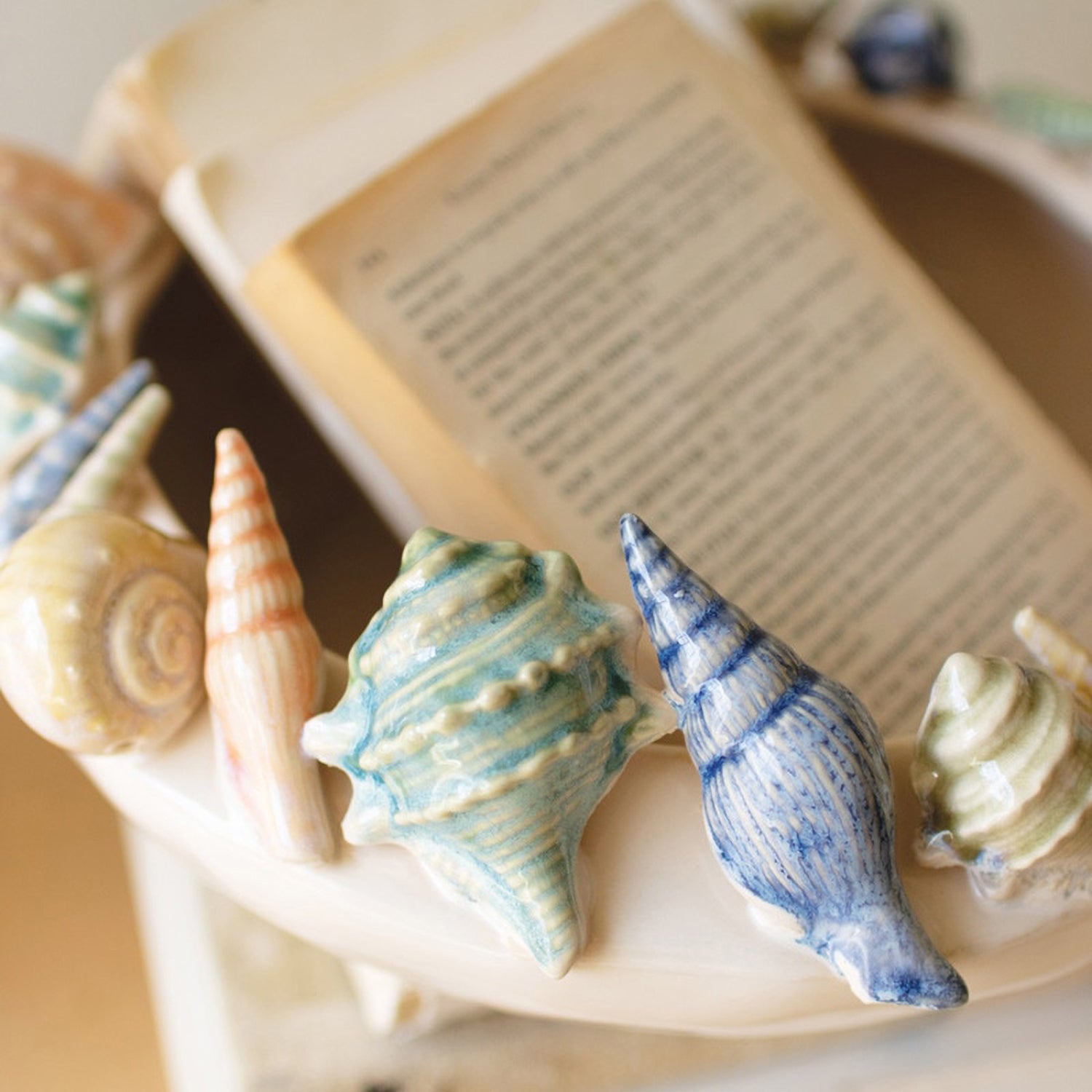 Seashell Bowl