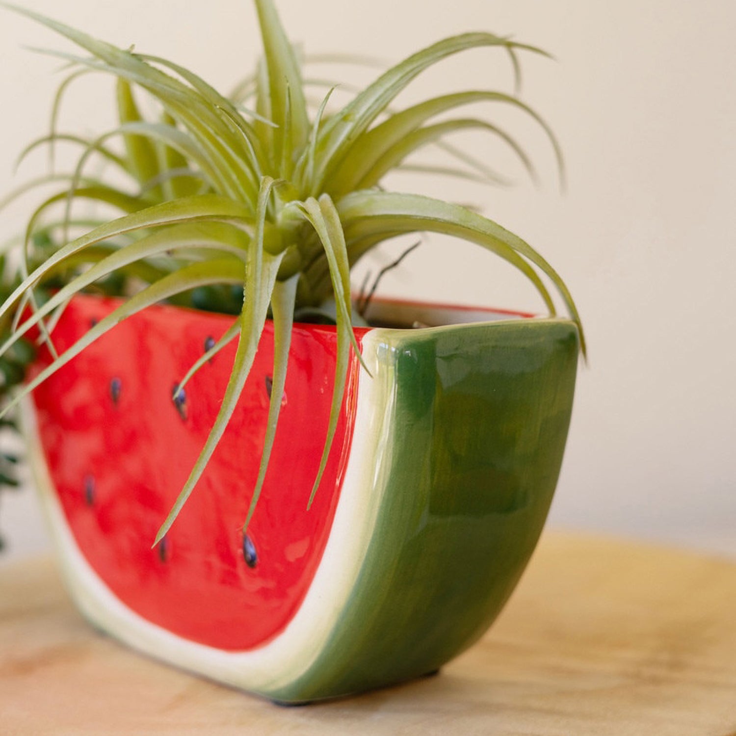 Watermelon Wedge Planter