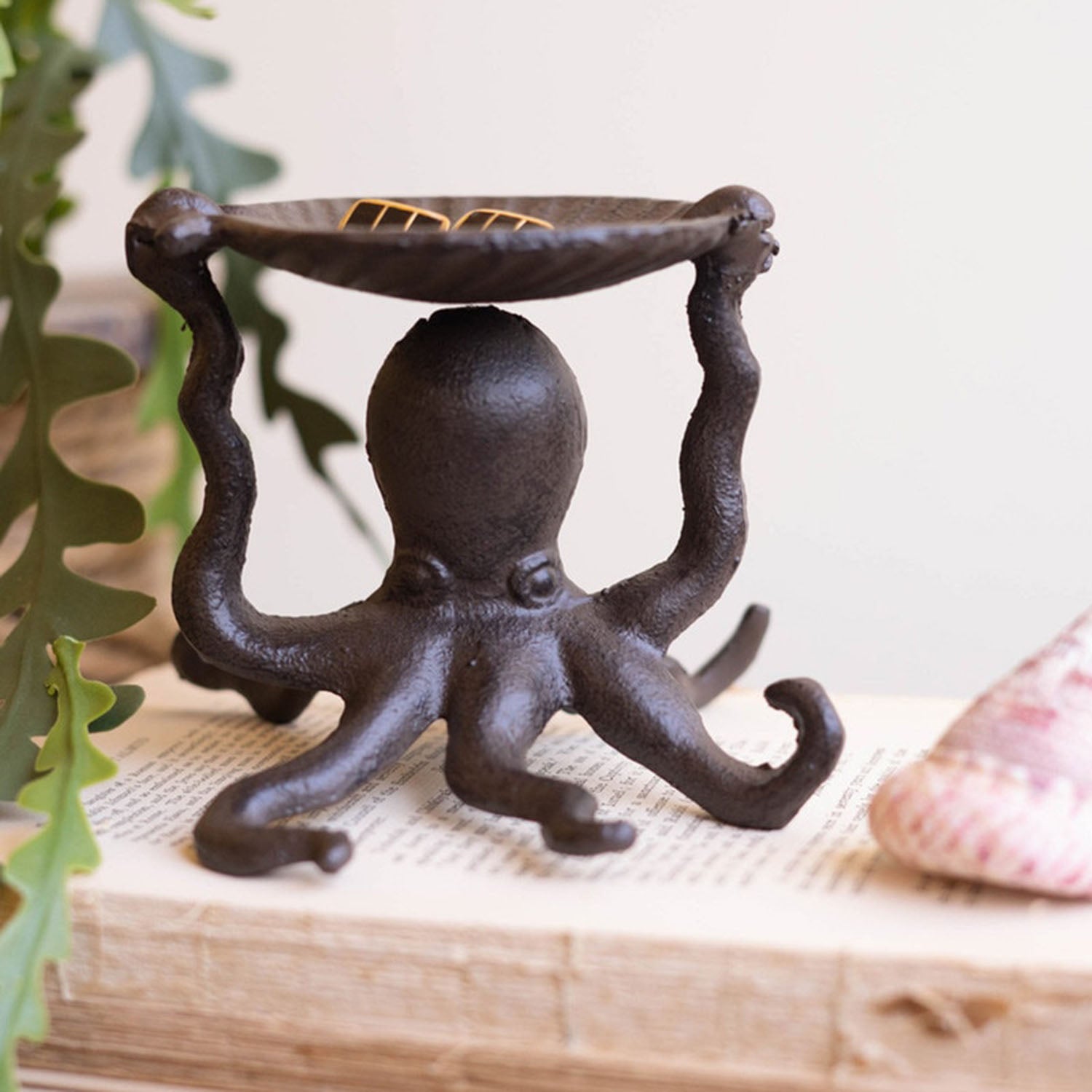 Octopus Holding a Shell Tray