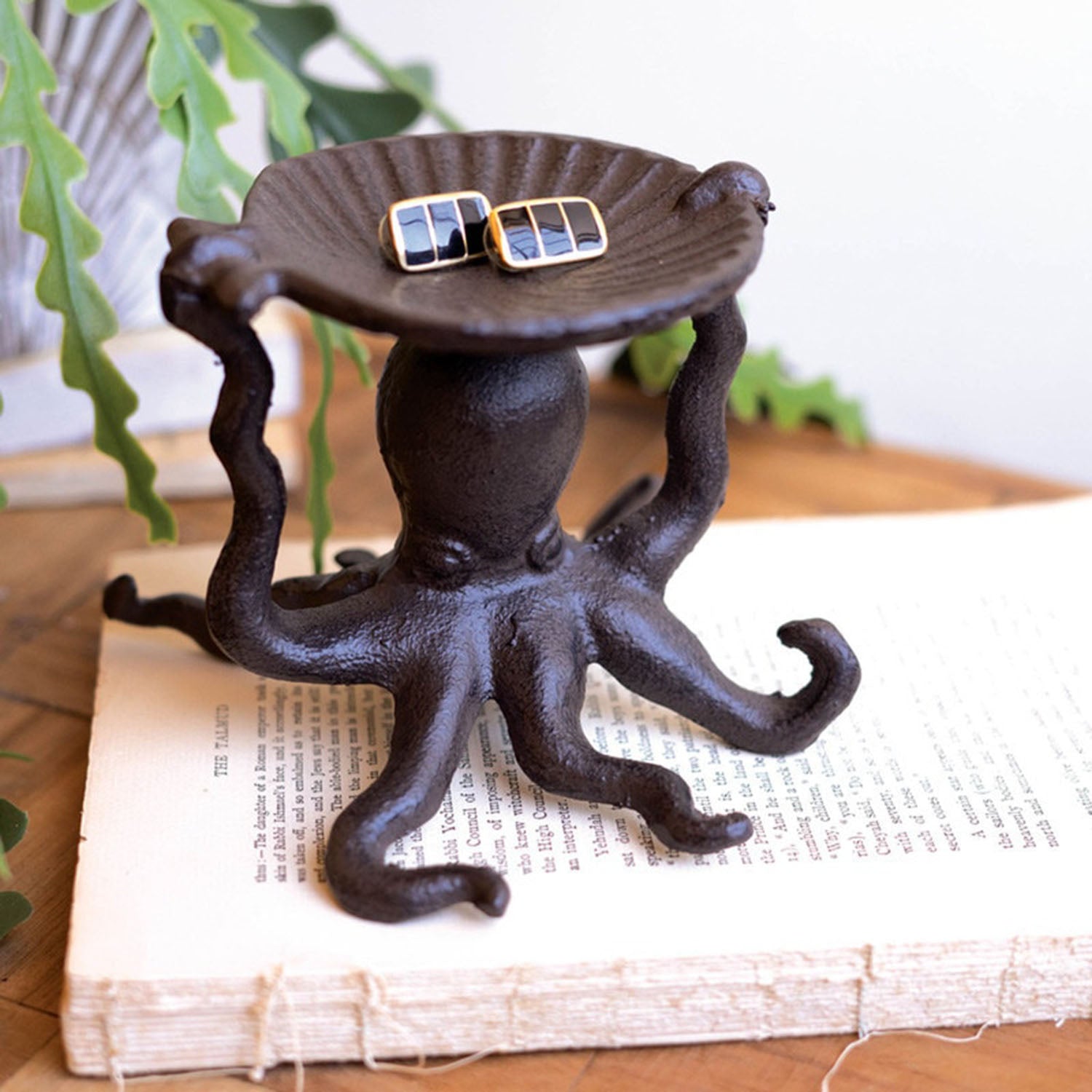 Octopus Holding a Shell Tray