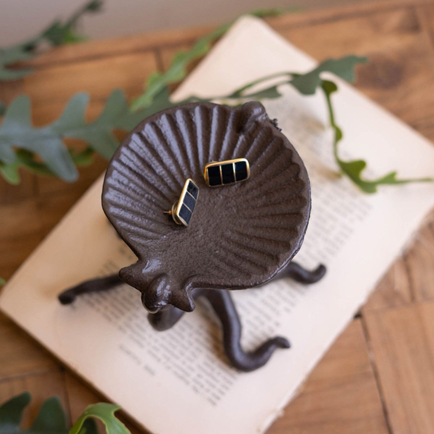 Octopus Holding a Shell Tray