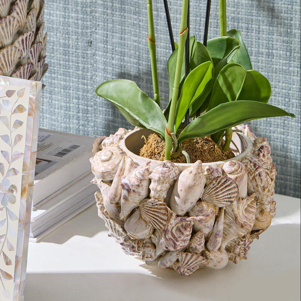 Shell Large Planter
