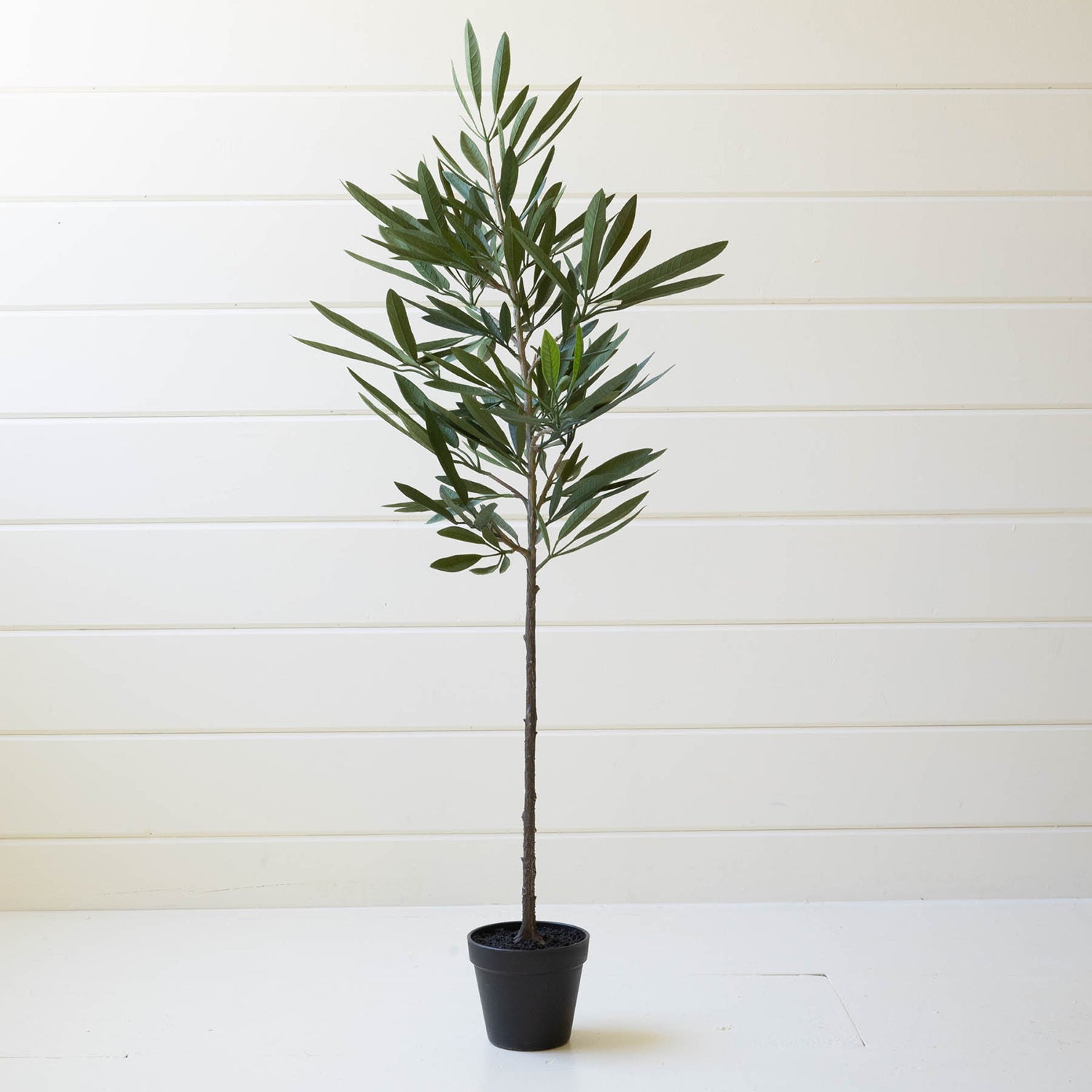 Eucalyptus Faux Tree