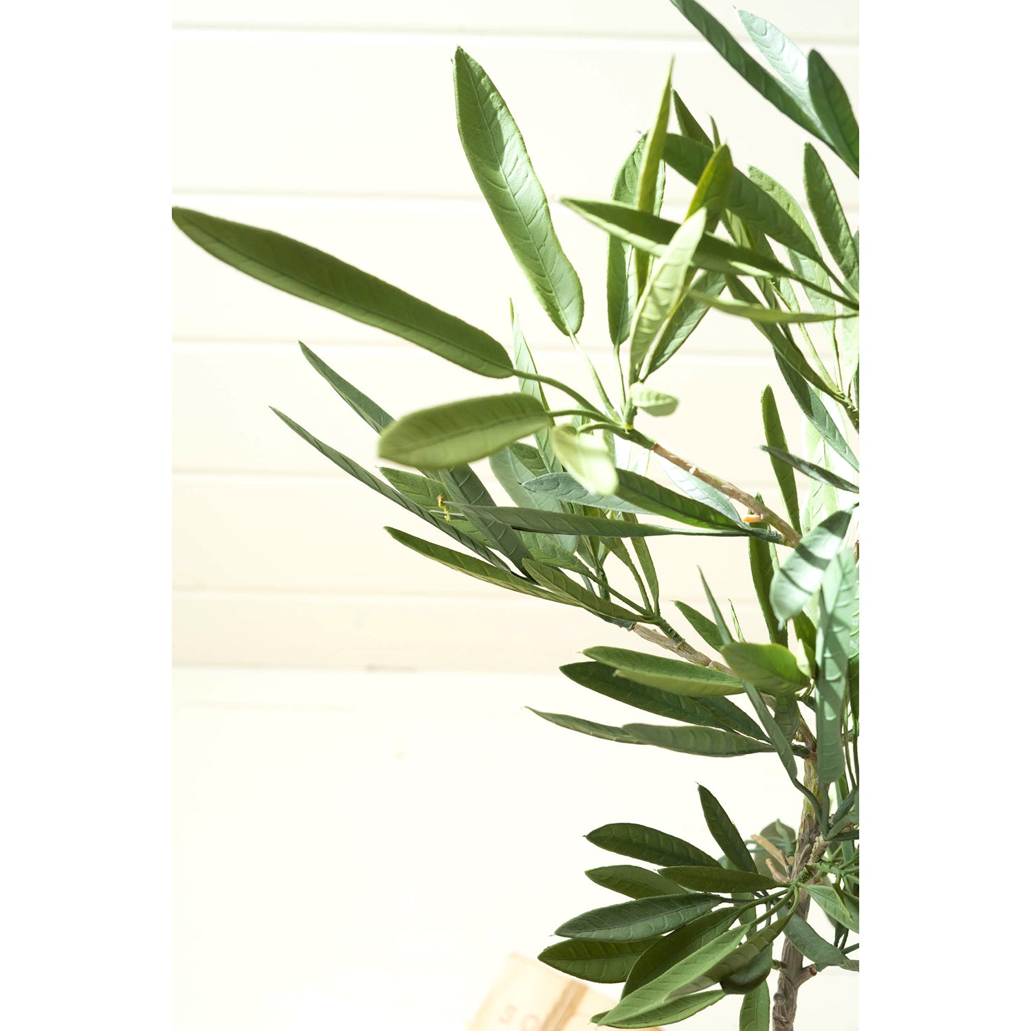 Eucalyptus Faux Tree
