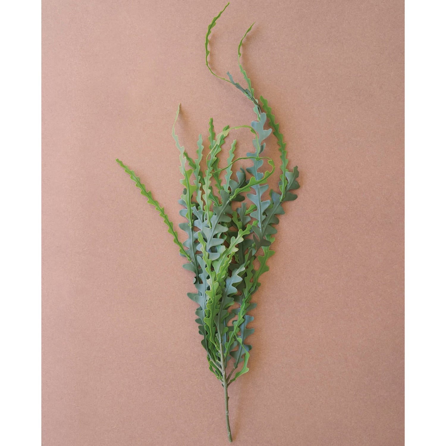 Artificial Fern Stem