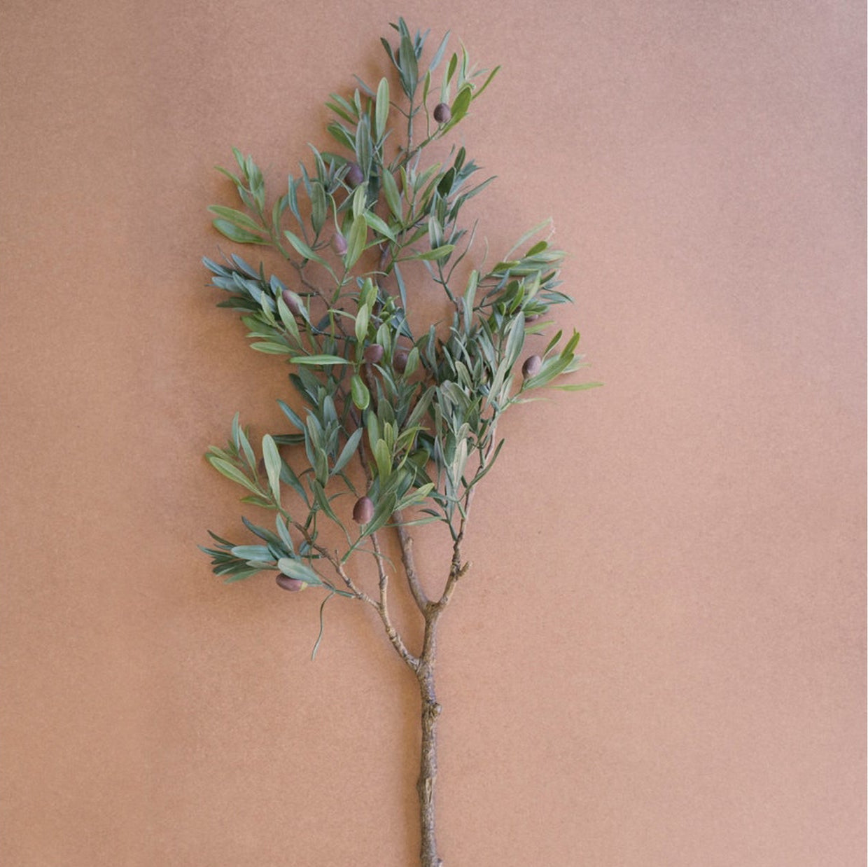 Artificial Olive Branch Set of 6