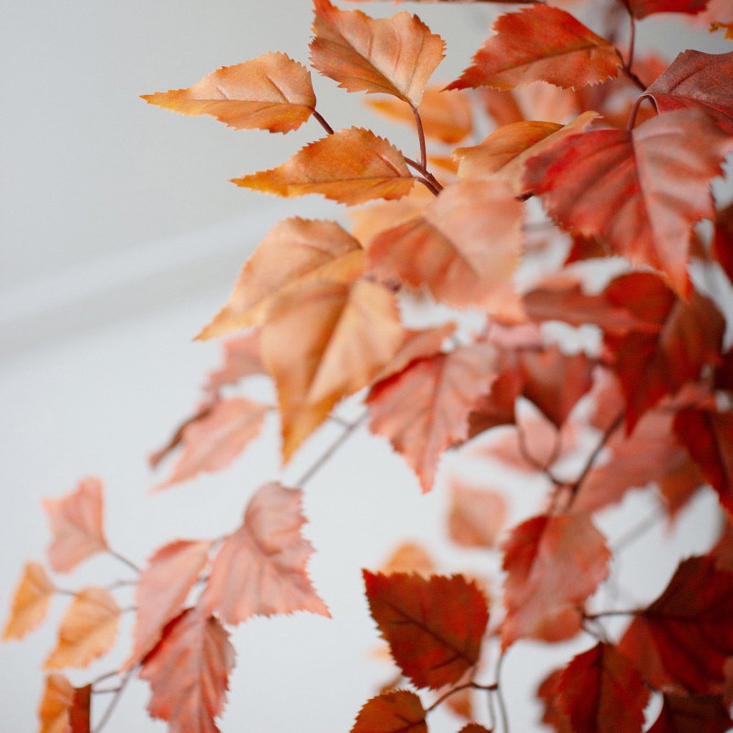 Autumn Birch Faux Tree in a Black Plastic Pot