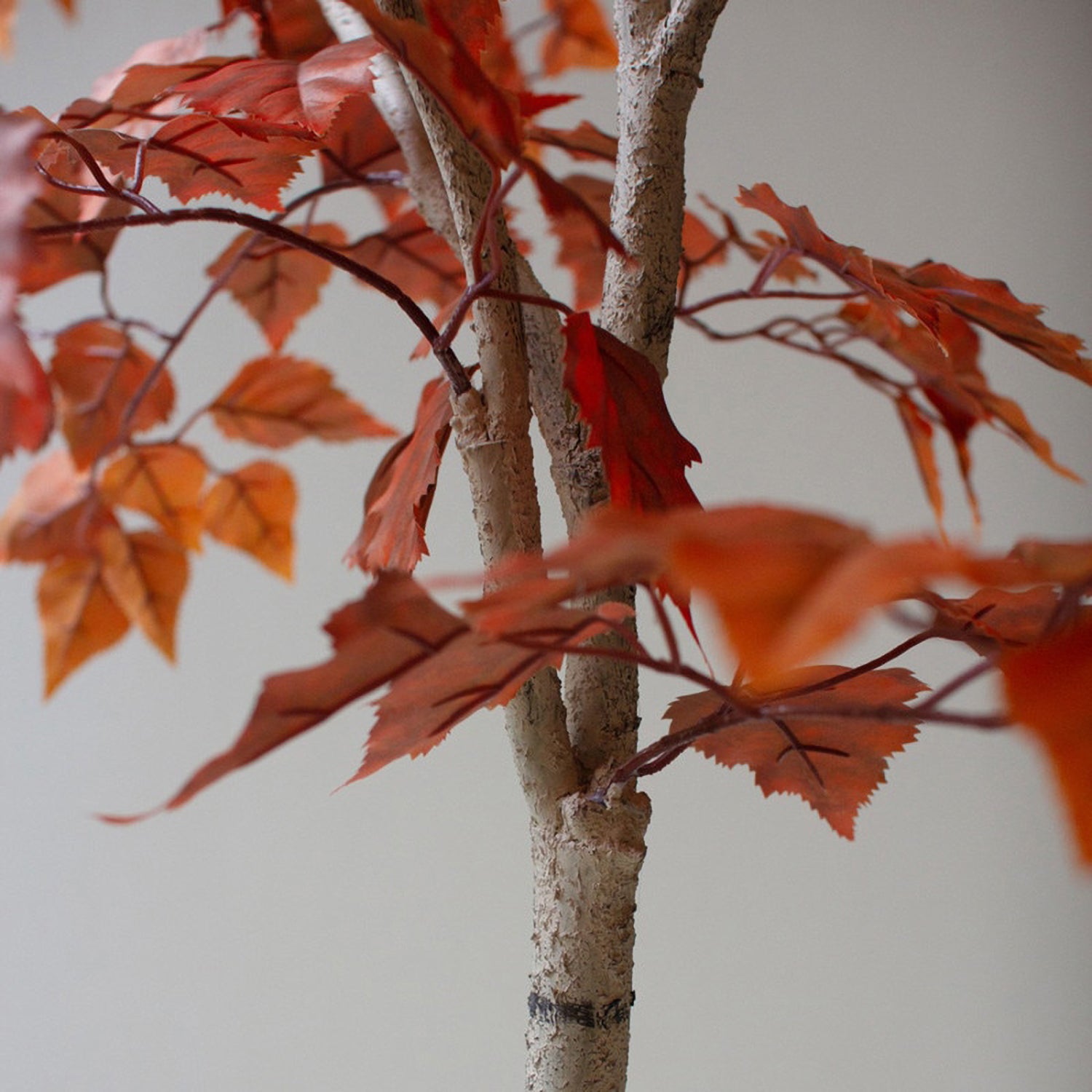 Autumn Birch Faux Tree in a Black Plastic Pot