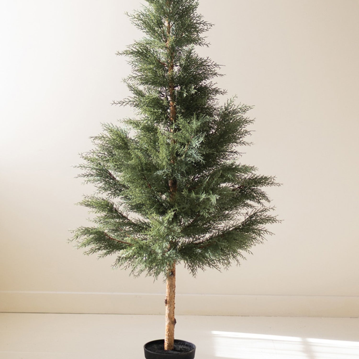 Artificial 60" Cypress in Plastic Pot