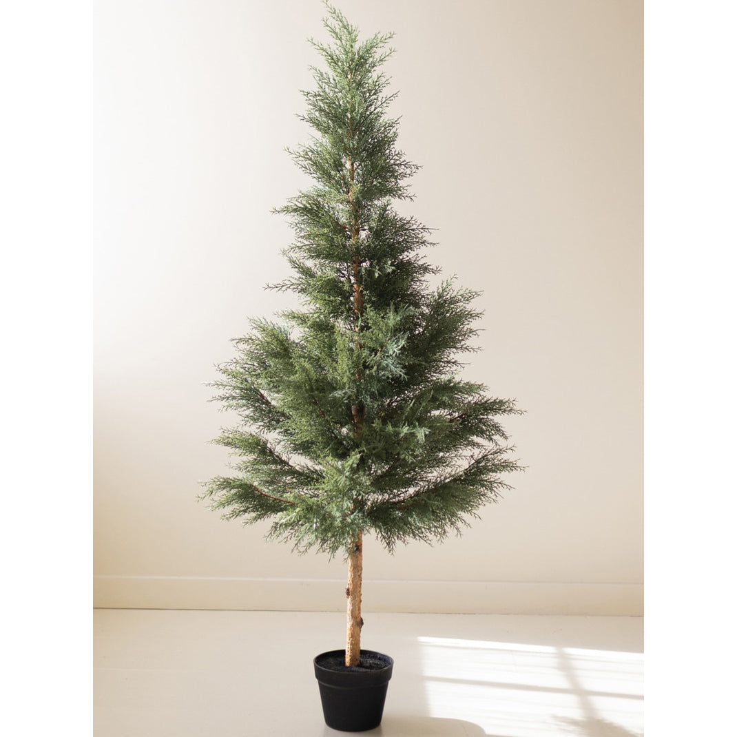 Artificial 60" Cypress in Plastic Pot