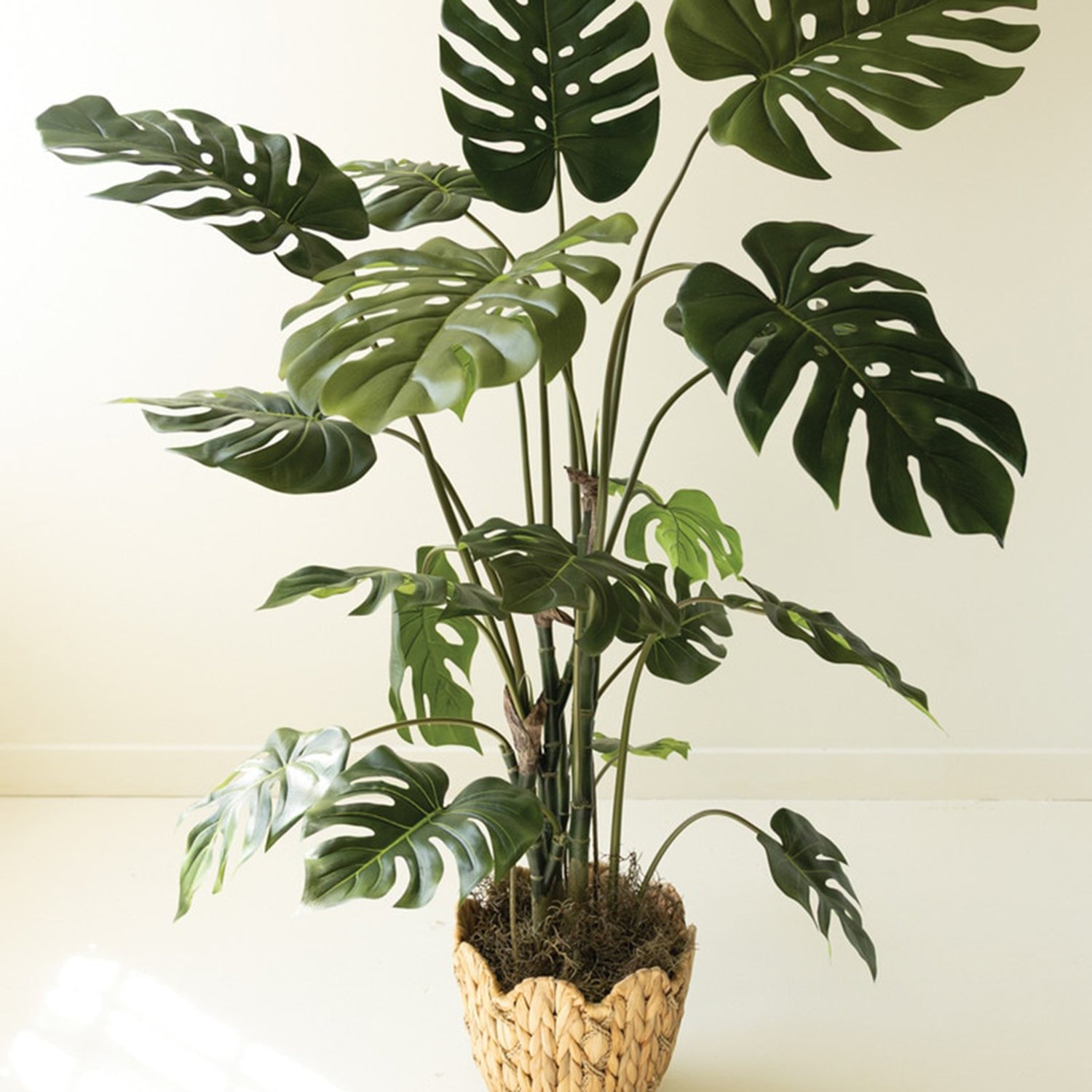 Artificial Potted Grand Monstera Tree in a Black Plastic Pot