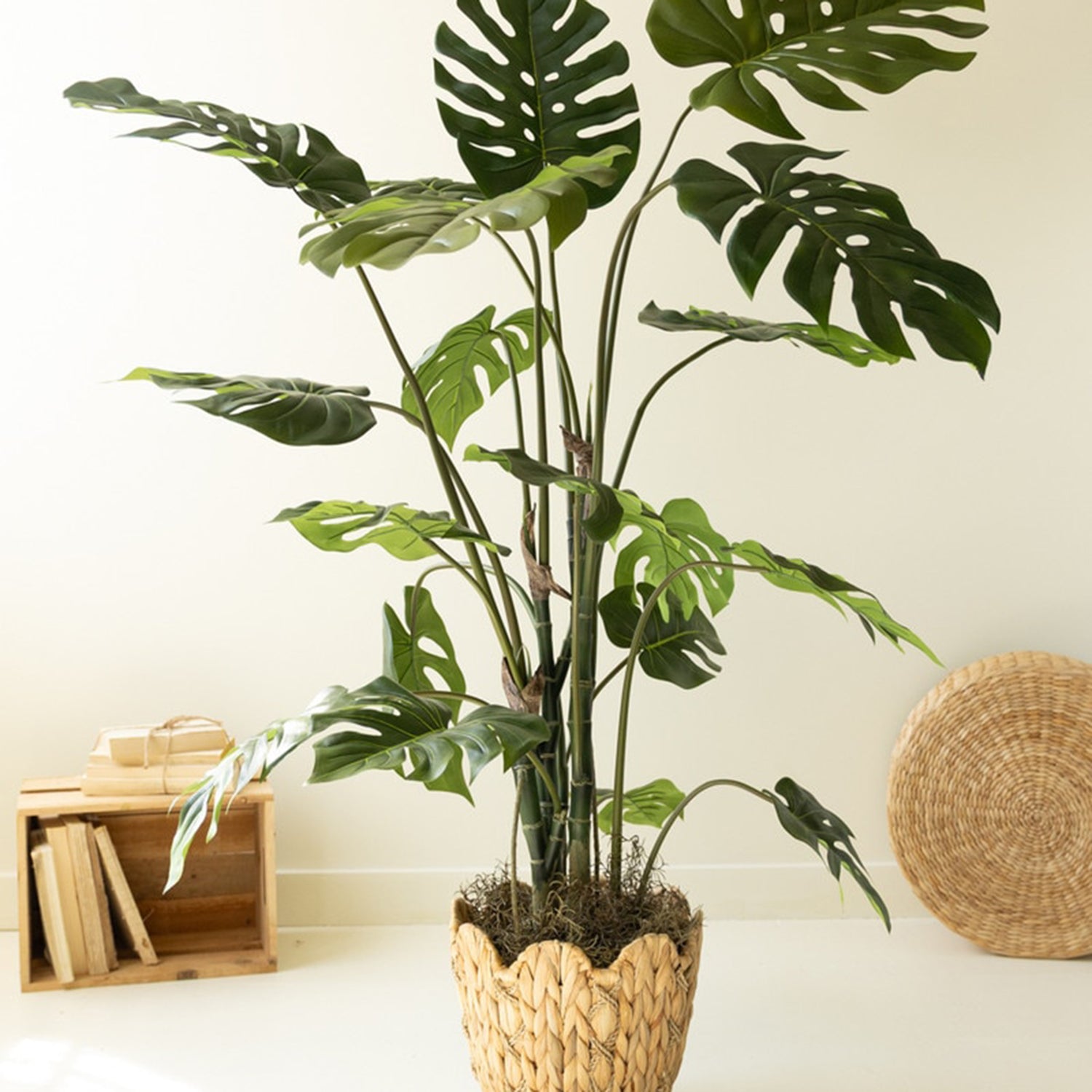 Artificial Potted Grand Monstera Tree in a Black Plastic Pot