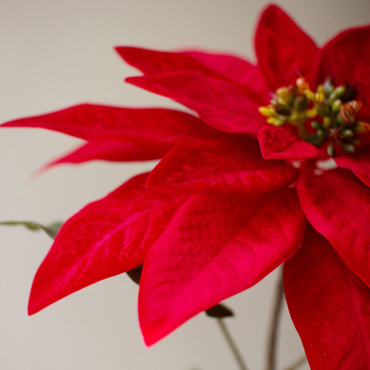 Poinsettias Faux Plant in a Cement Pot Set of 4