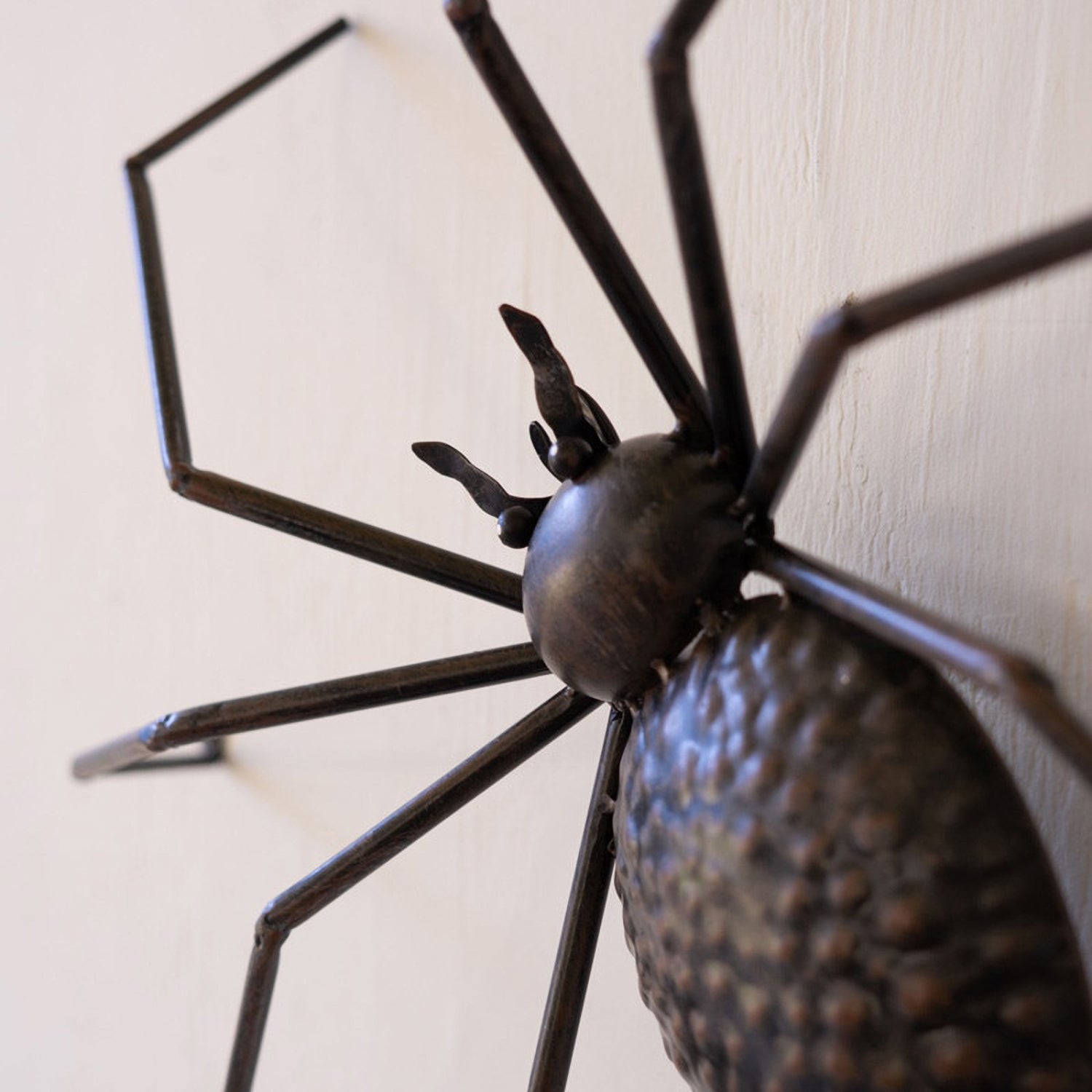 Halloween Black Spider Accent