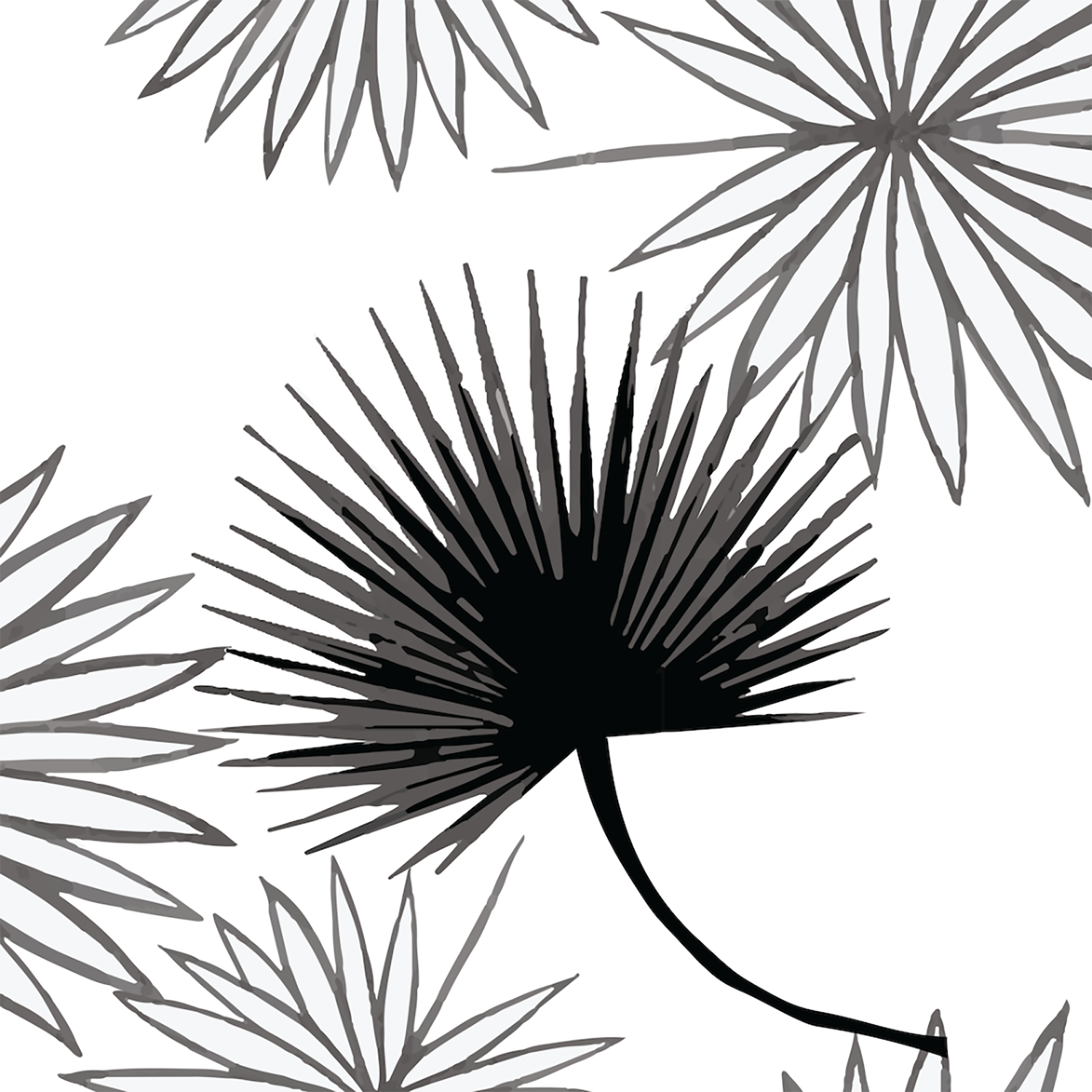 Mitchell Black Cabbage Palm Wallpaper