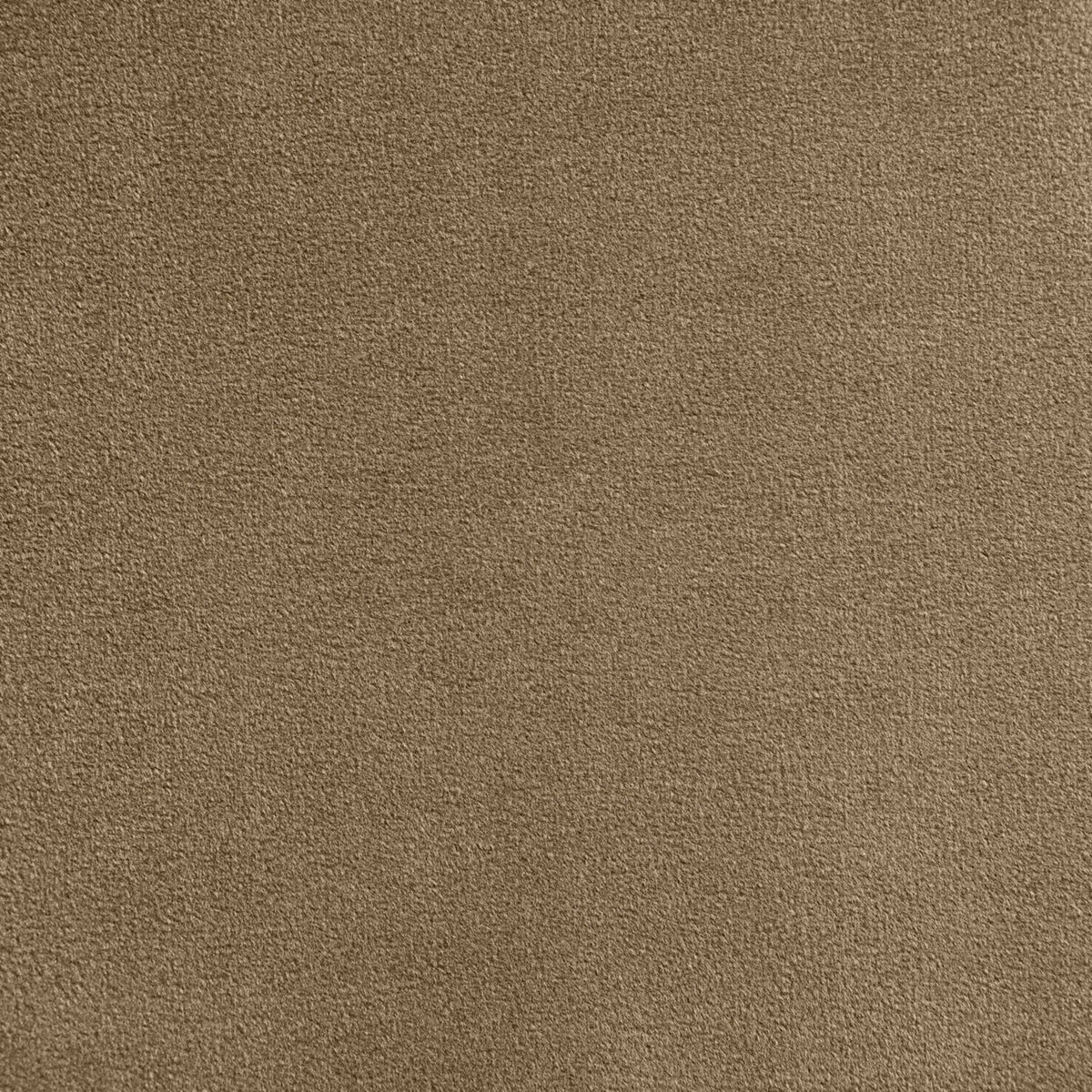 Celine Beige Velvet Upholstered Bed