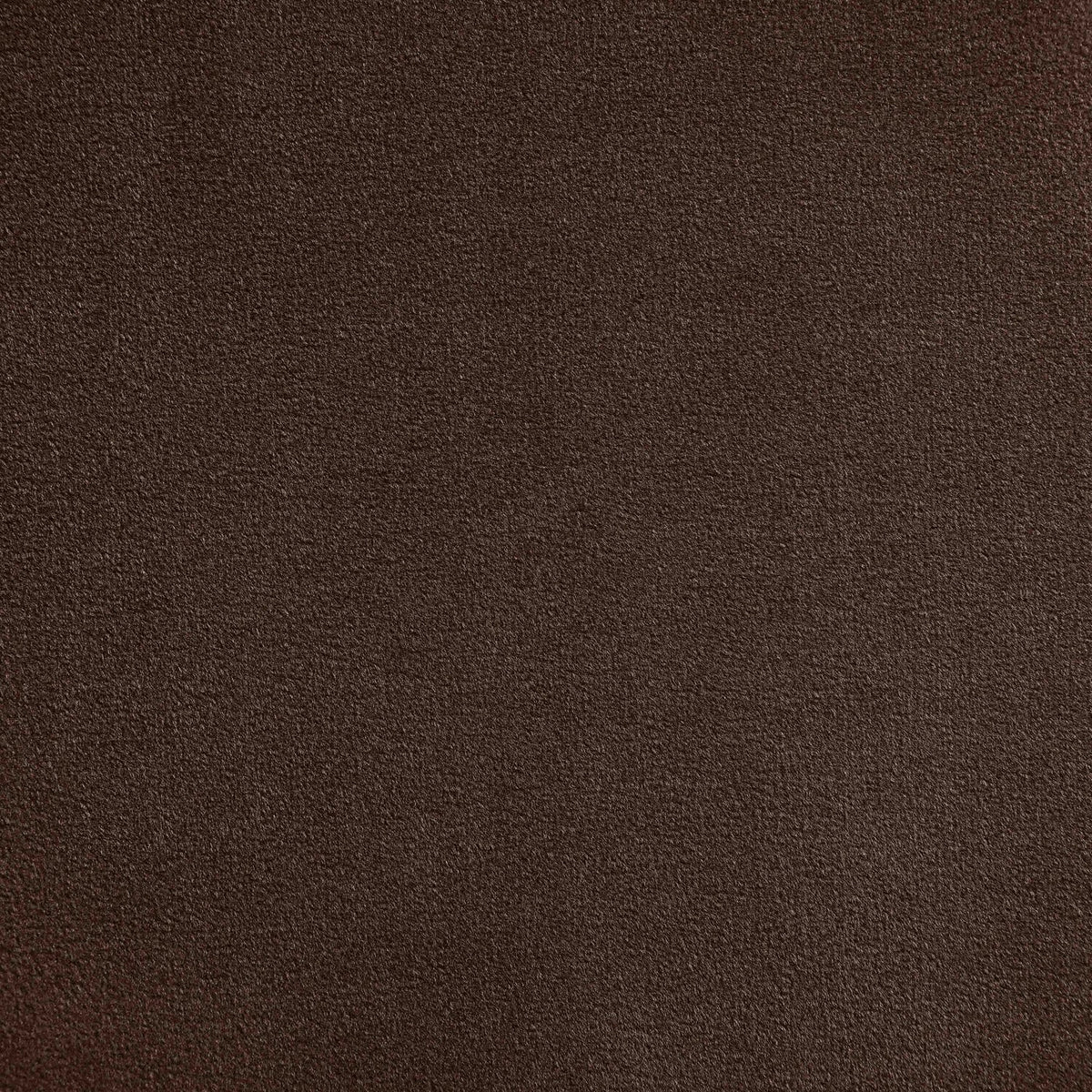 Celine Brown Velvet Upholstered Bed
