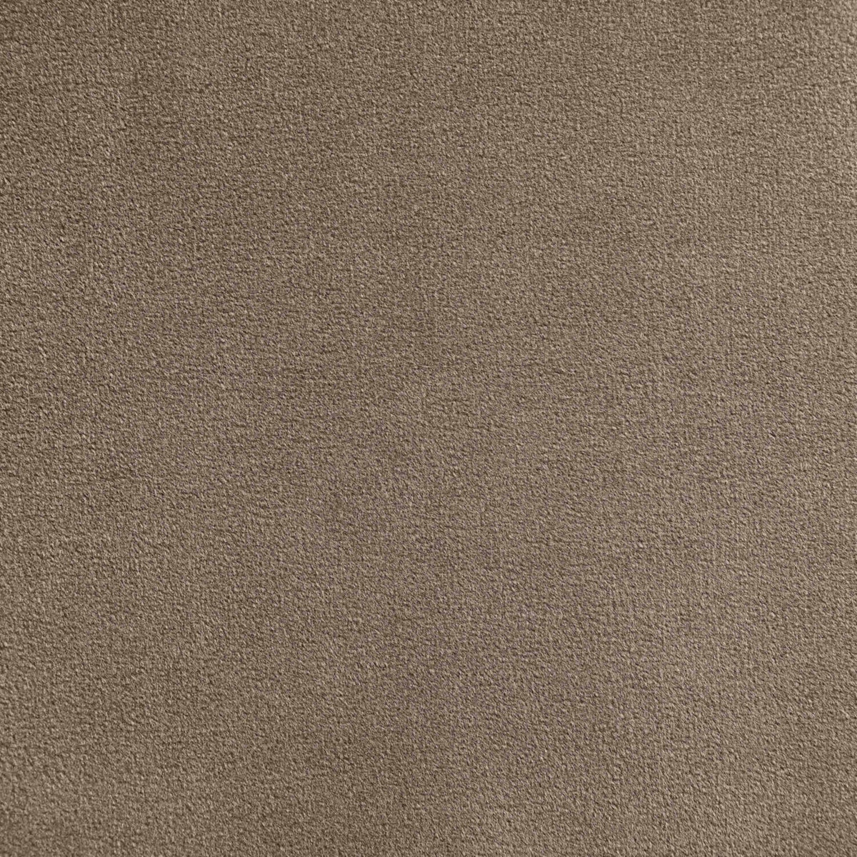 Celine Taupe Velvet Upholstered Bed