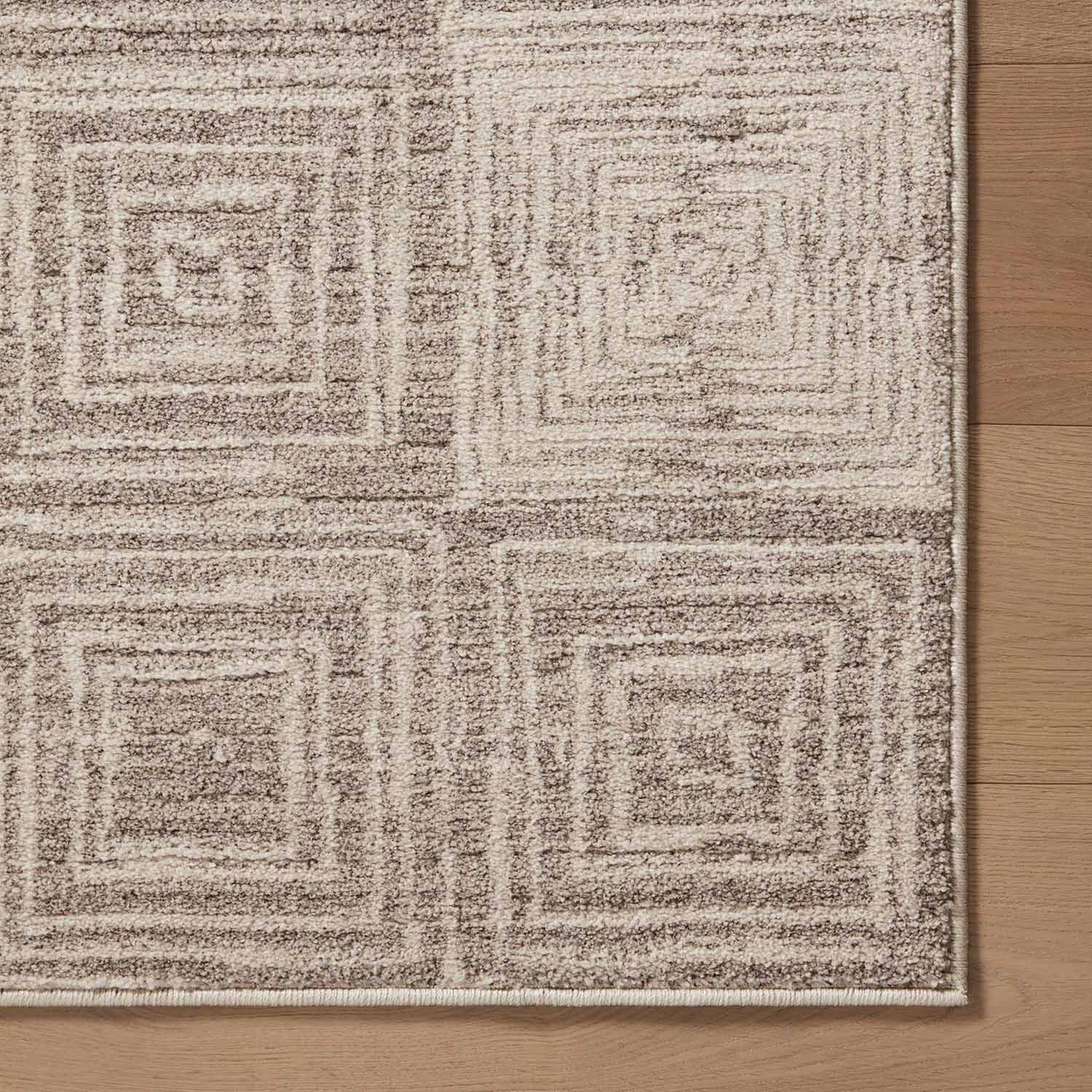 Loloi Darby Beige/Gray Power Loomed Rug