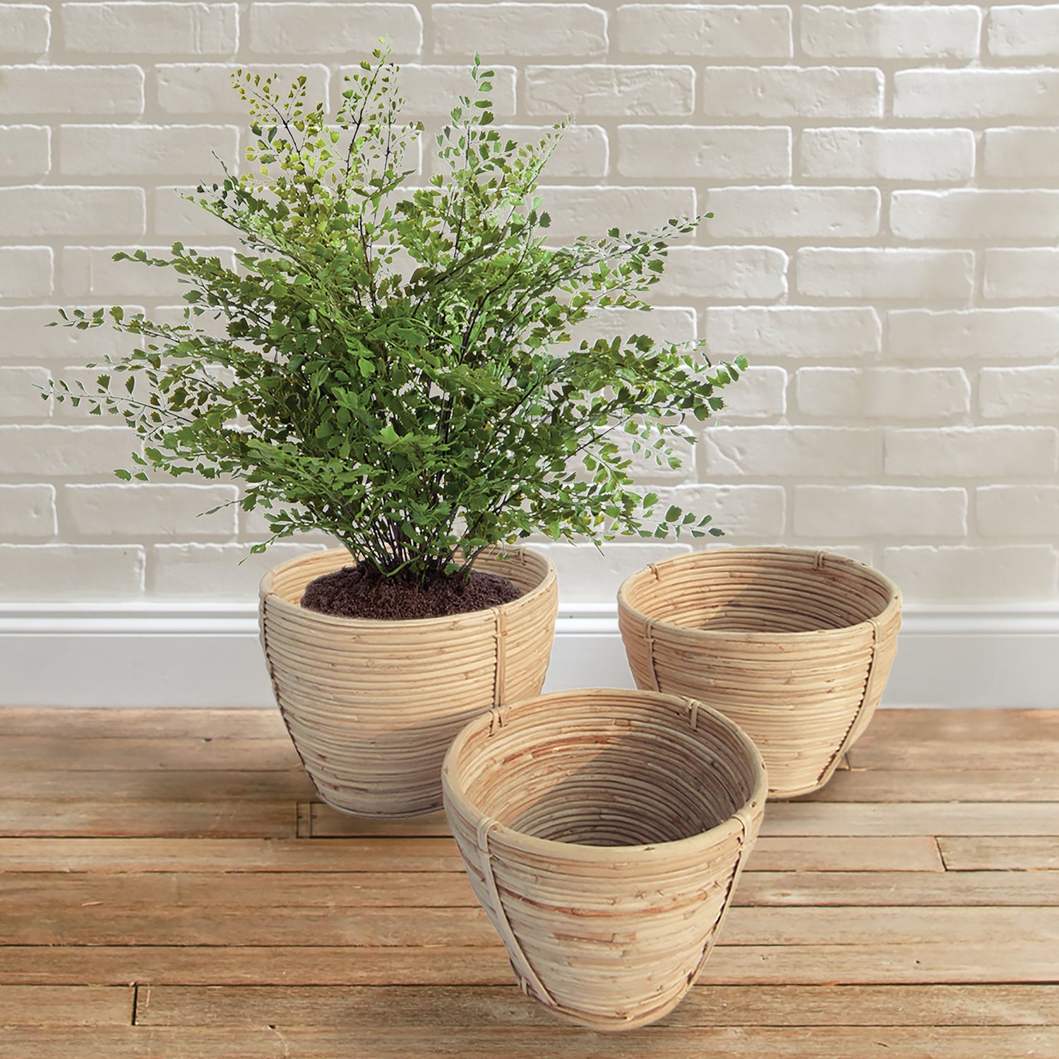 Cane Rattan Round Tapered Basket Set of 3
