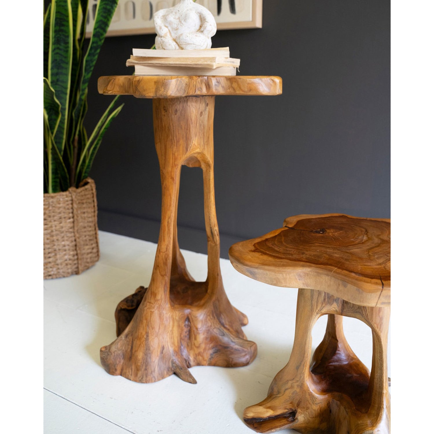 Organic Teakwood Accent Table Set of 2