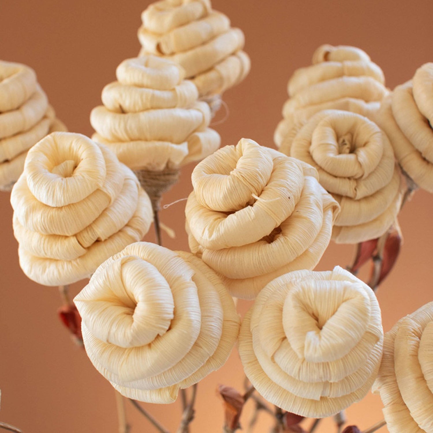 Cornhusk Botanicals Hive Set of 12