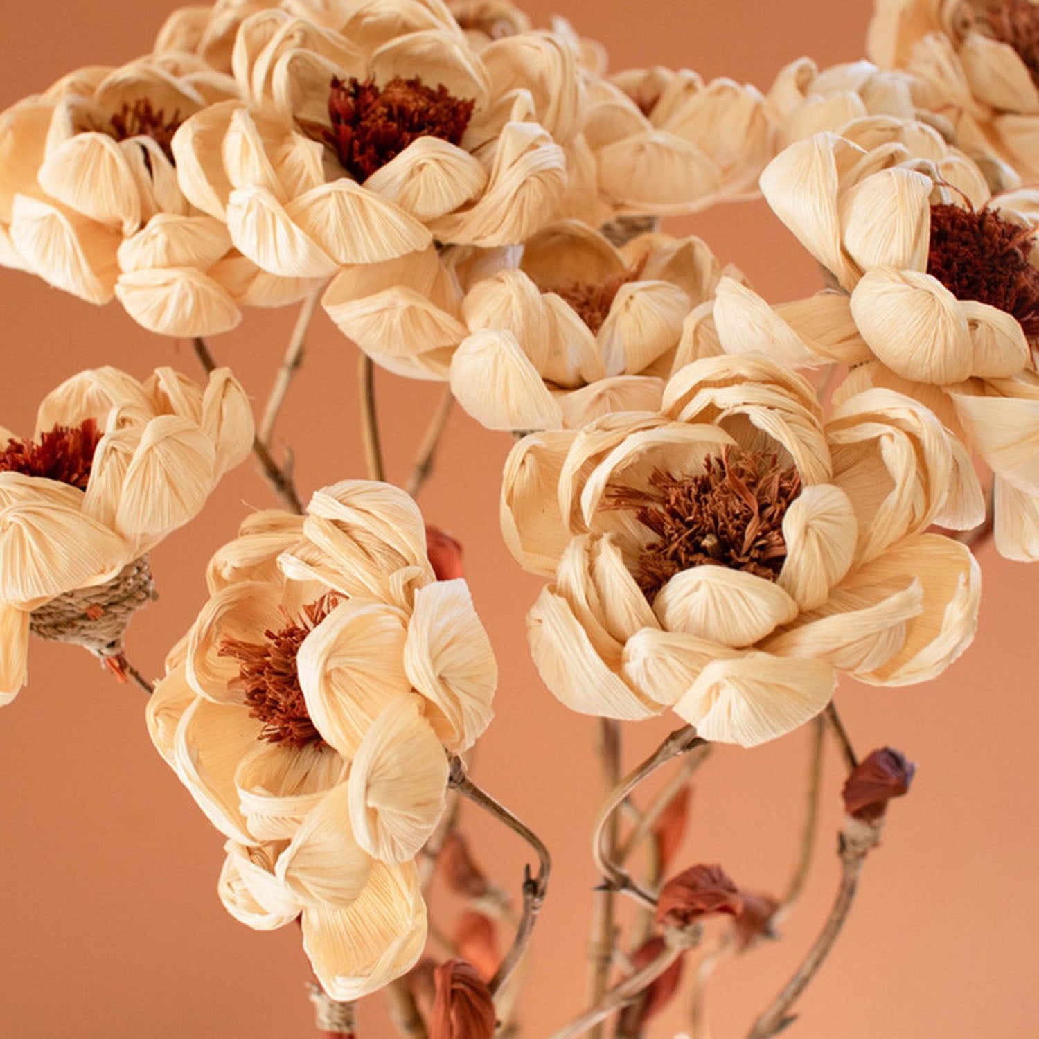 Cornhusk Botanicals Magnolia Set of 12