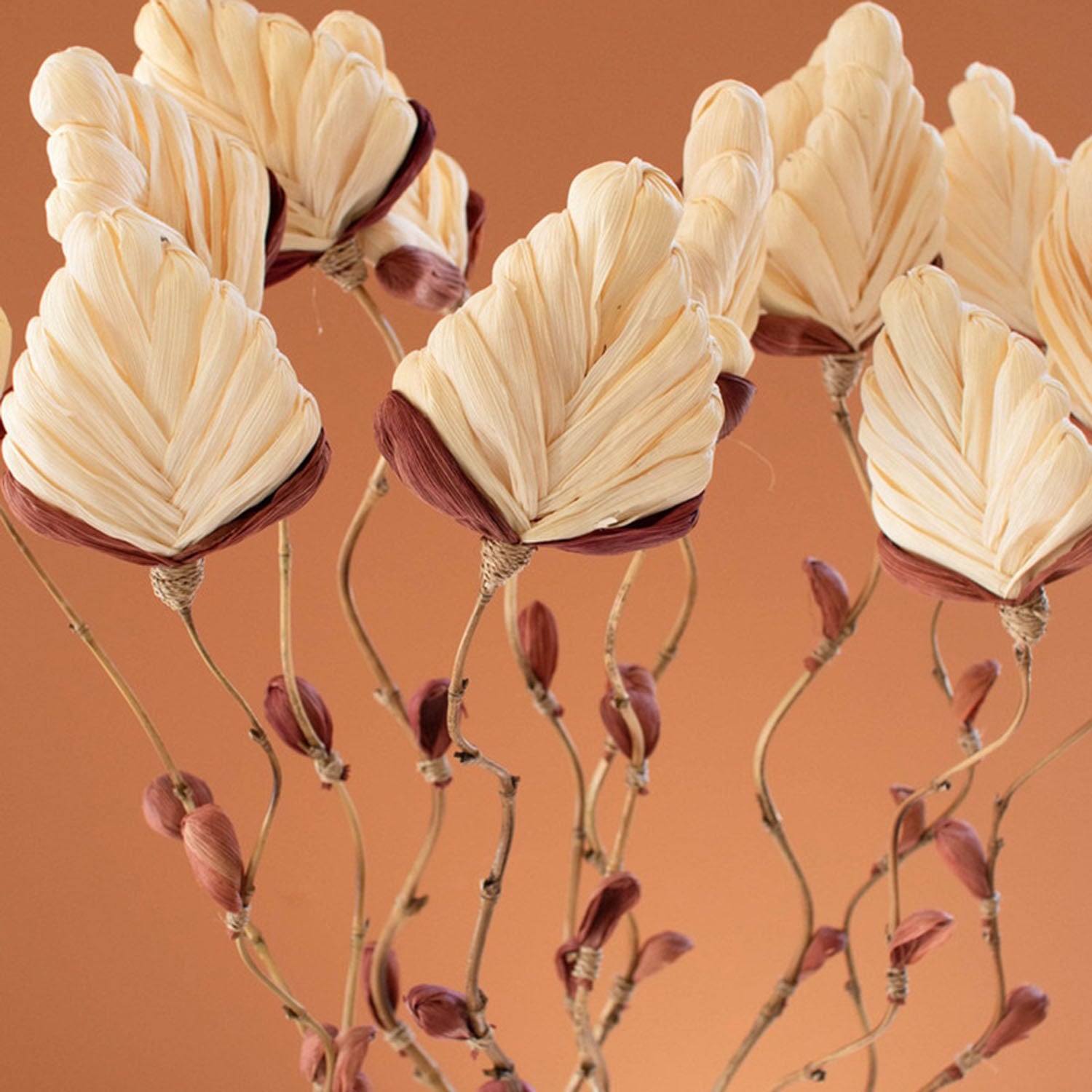 Cornhusk Botanicals Fan Set of 12