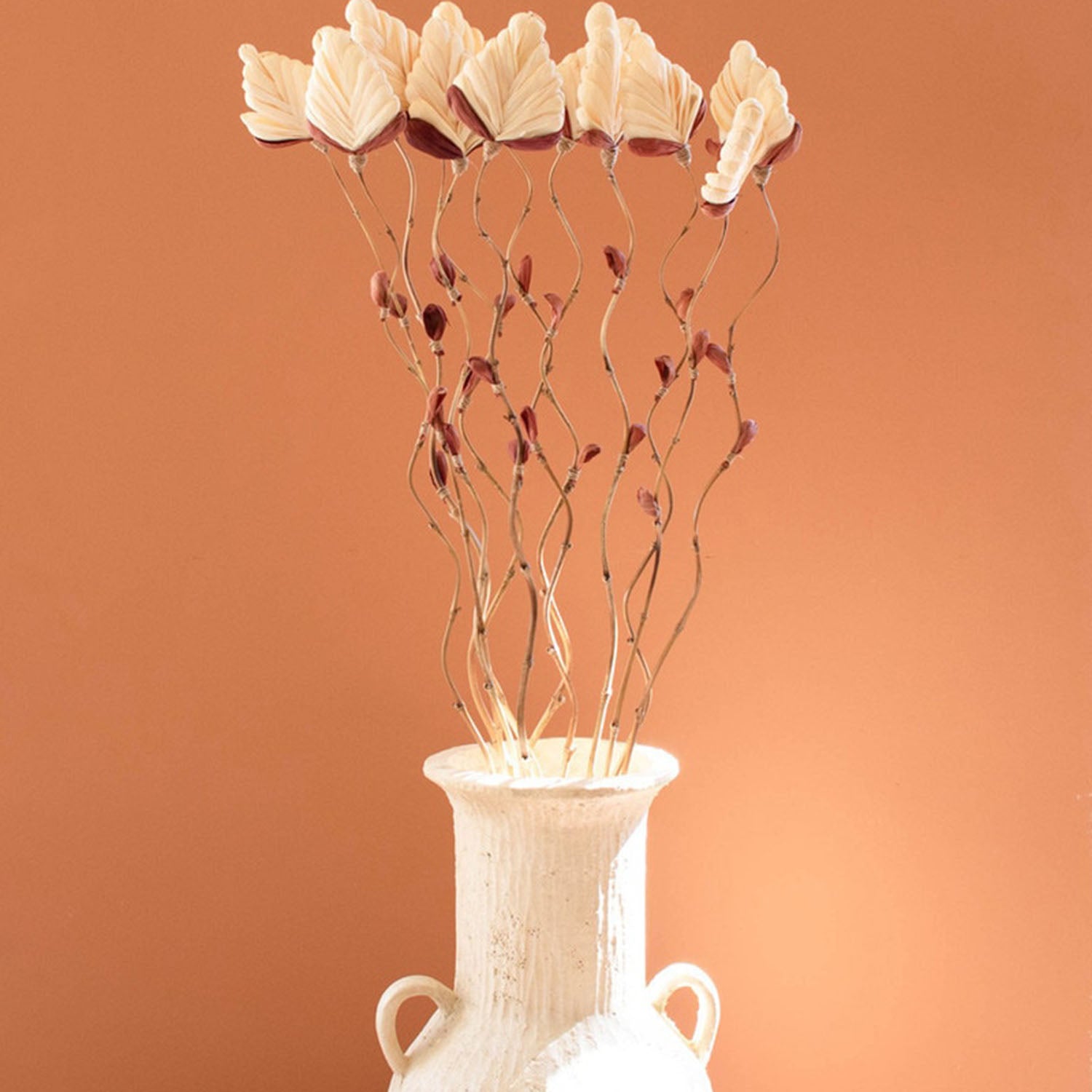 Cornhusk Botanicals Fan Set of 12