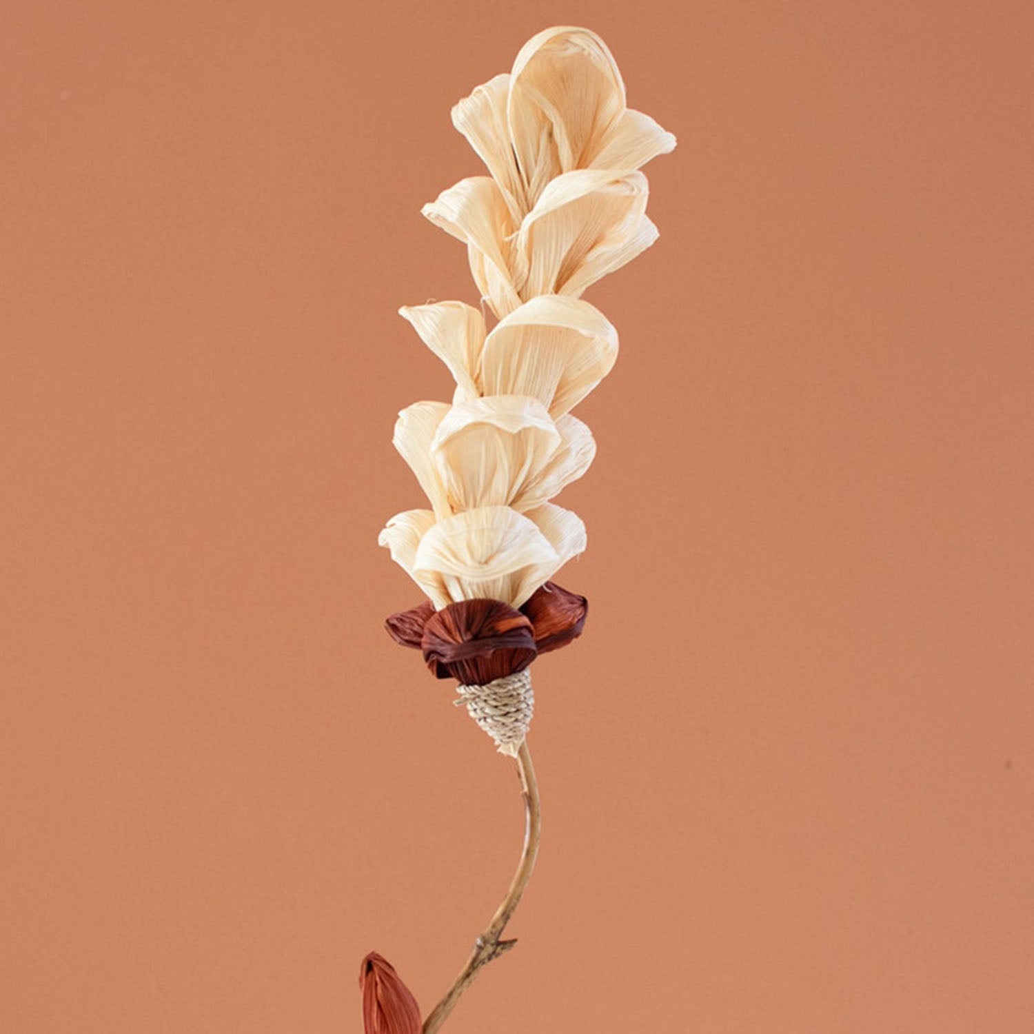 Cornhusk Botanicals Snap Dragon Set of 12