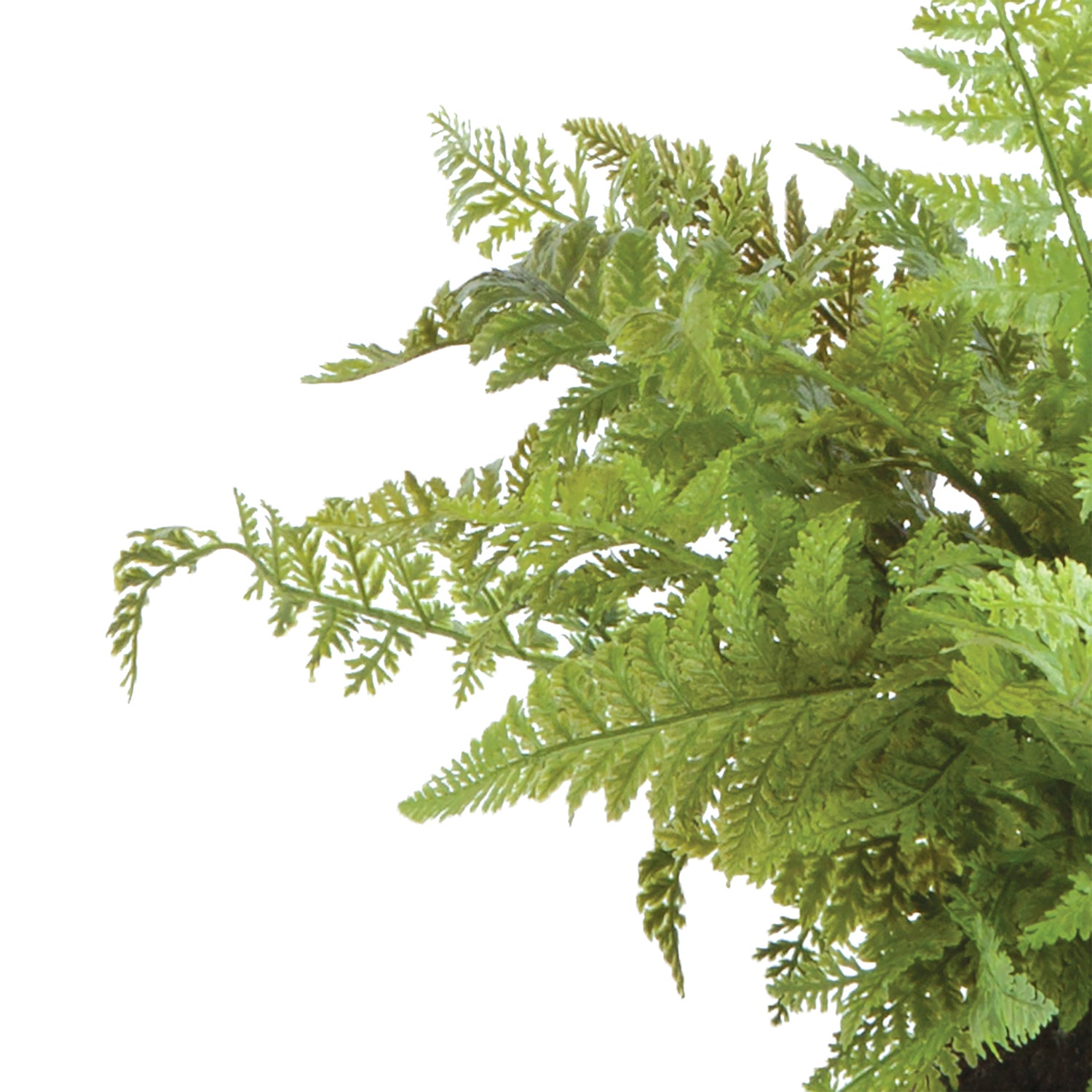 Soft Fern Drop-In Faux Plant