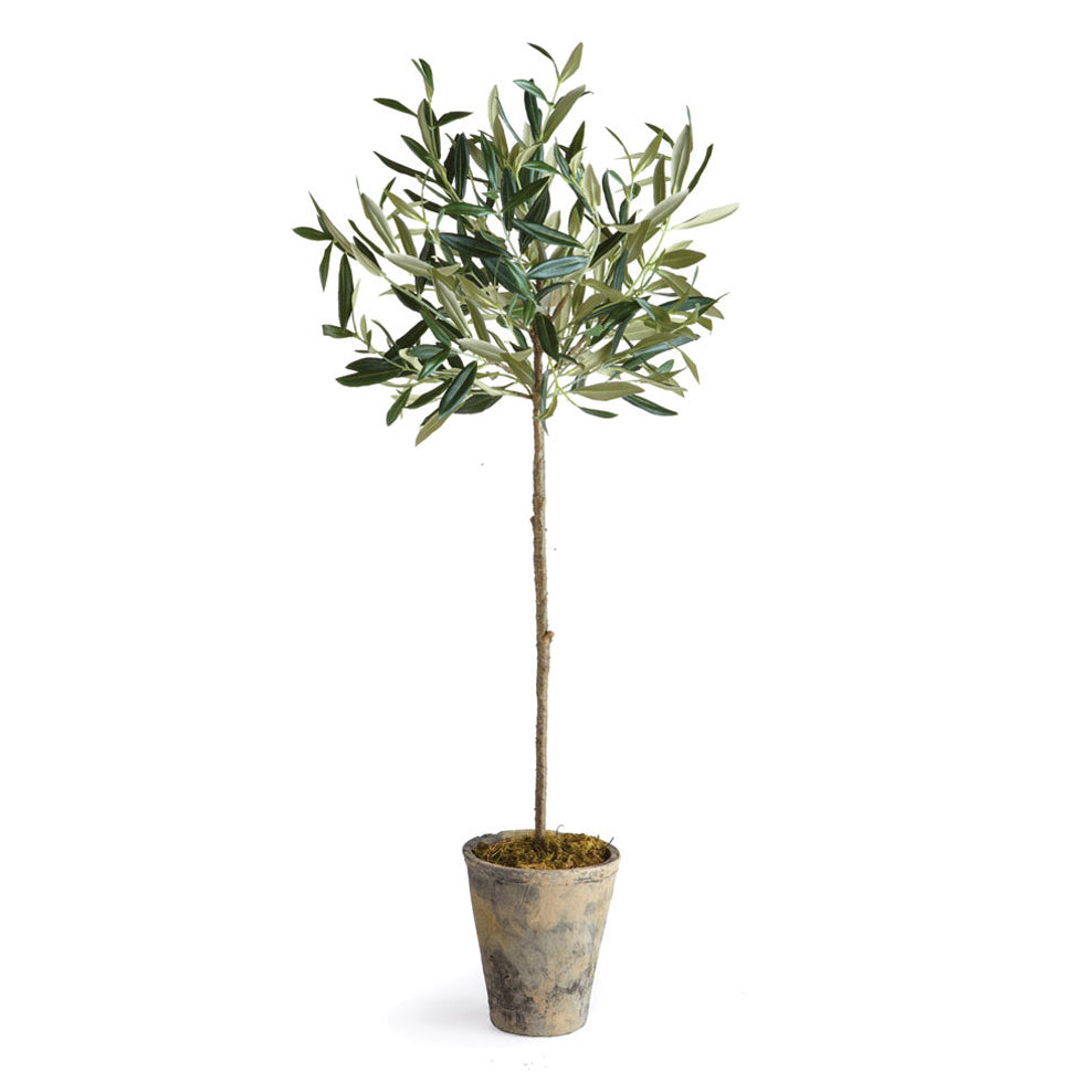Olive Tree Potted Faux Plant