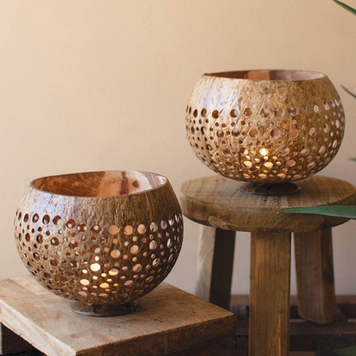 Carved Coconut Luminaries Set of 4