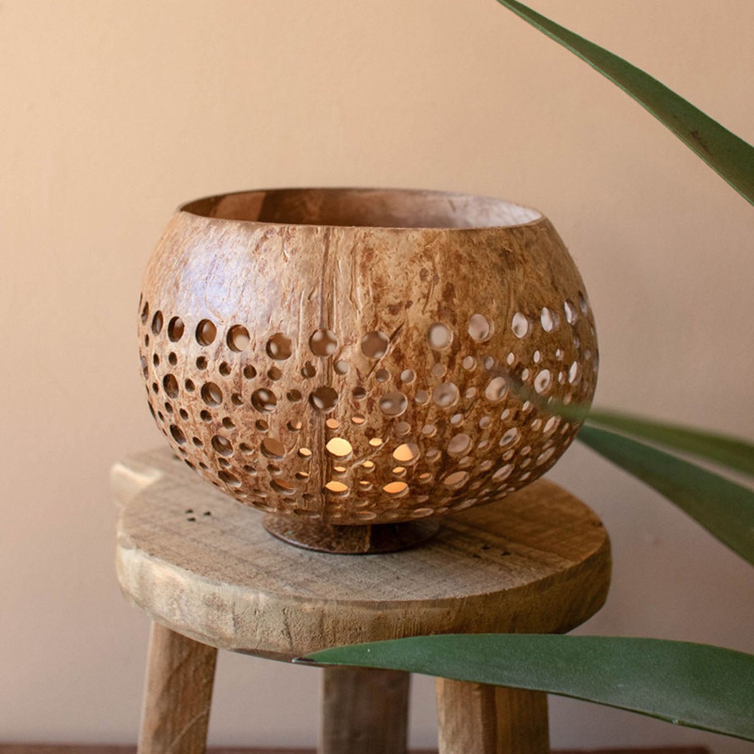 Carved Coconut Luminaries Set of 4
