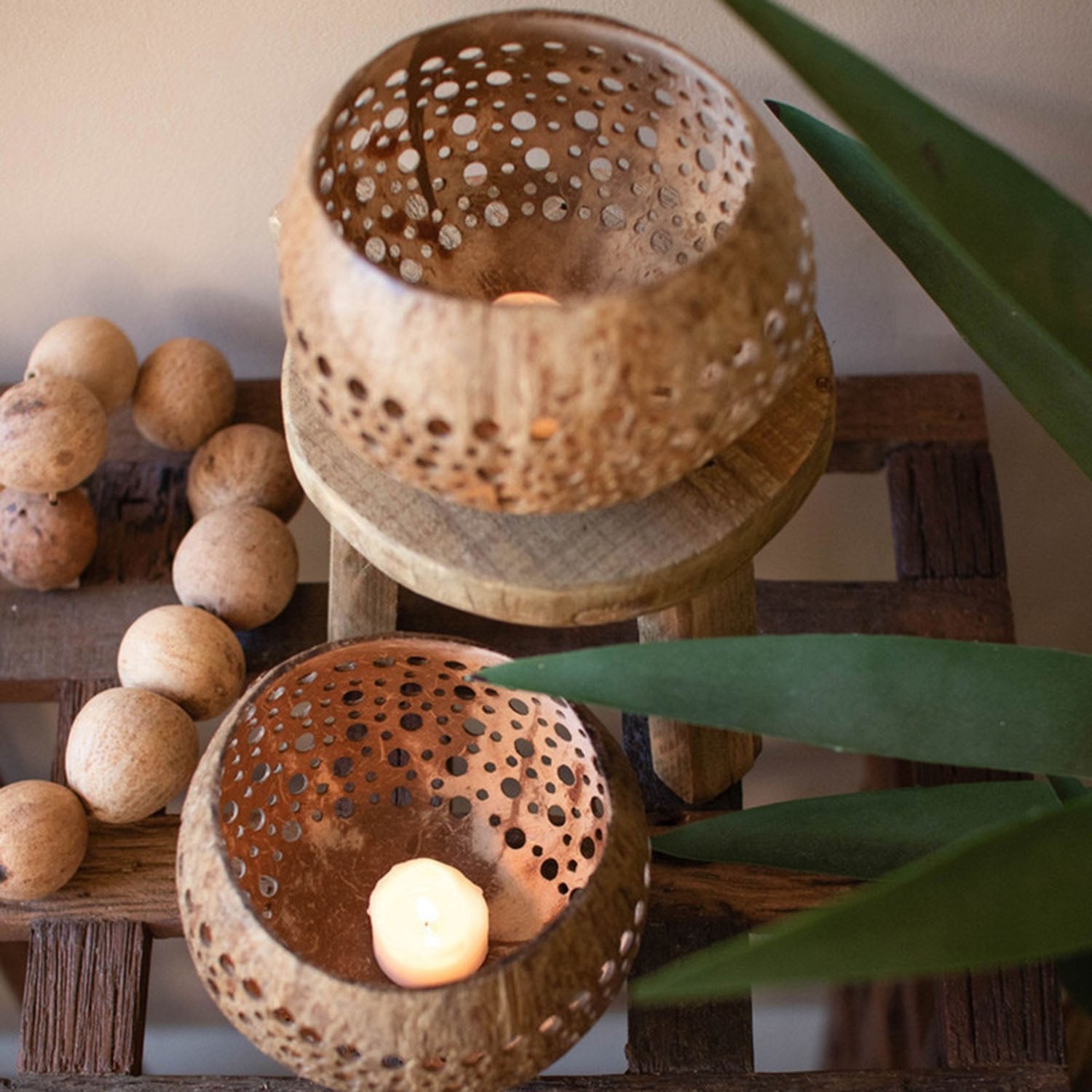 Carved Coconut Luminaries Set of 4