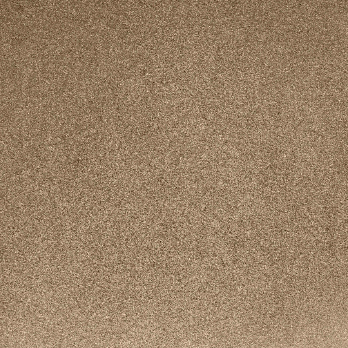 Dawson Beige Velvet Upholstered Bed