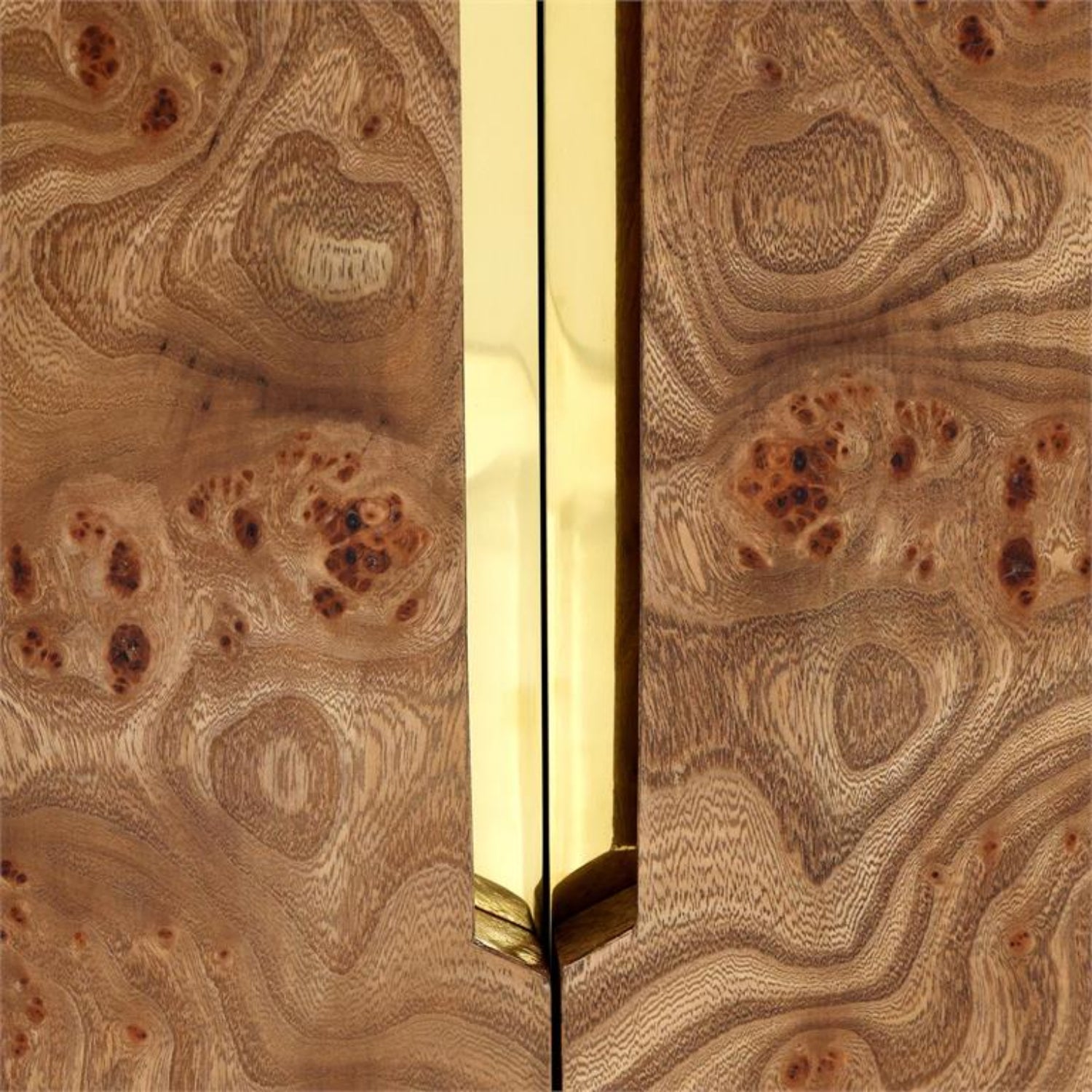 John Richard Brummell Two-Door Cabinet