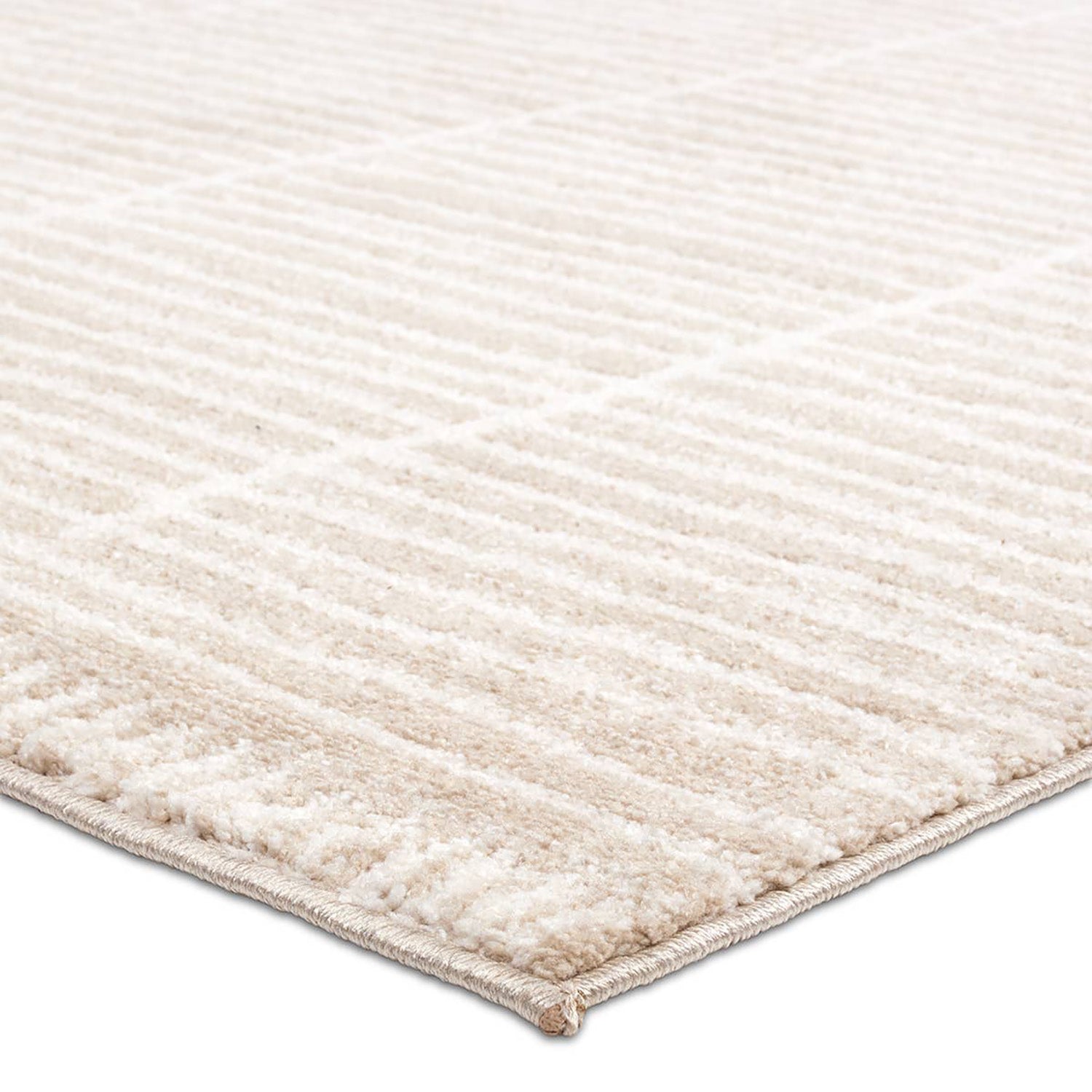Jaipur Living Eva Siawin Power Loomed Rug