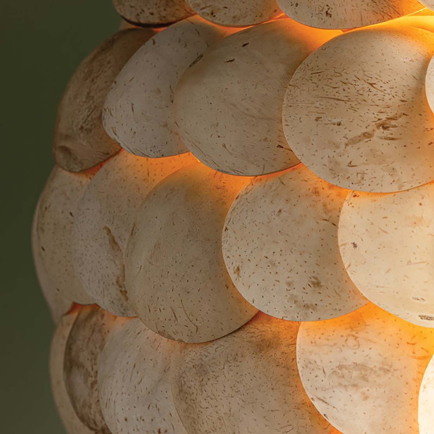 Troy Lighting Edric Pendant