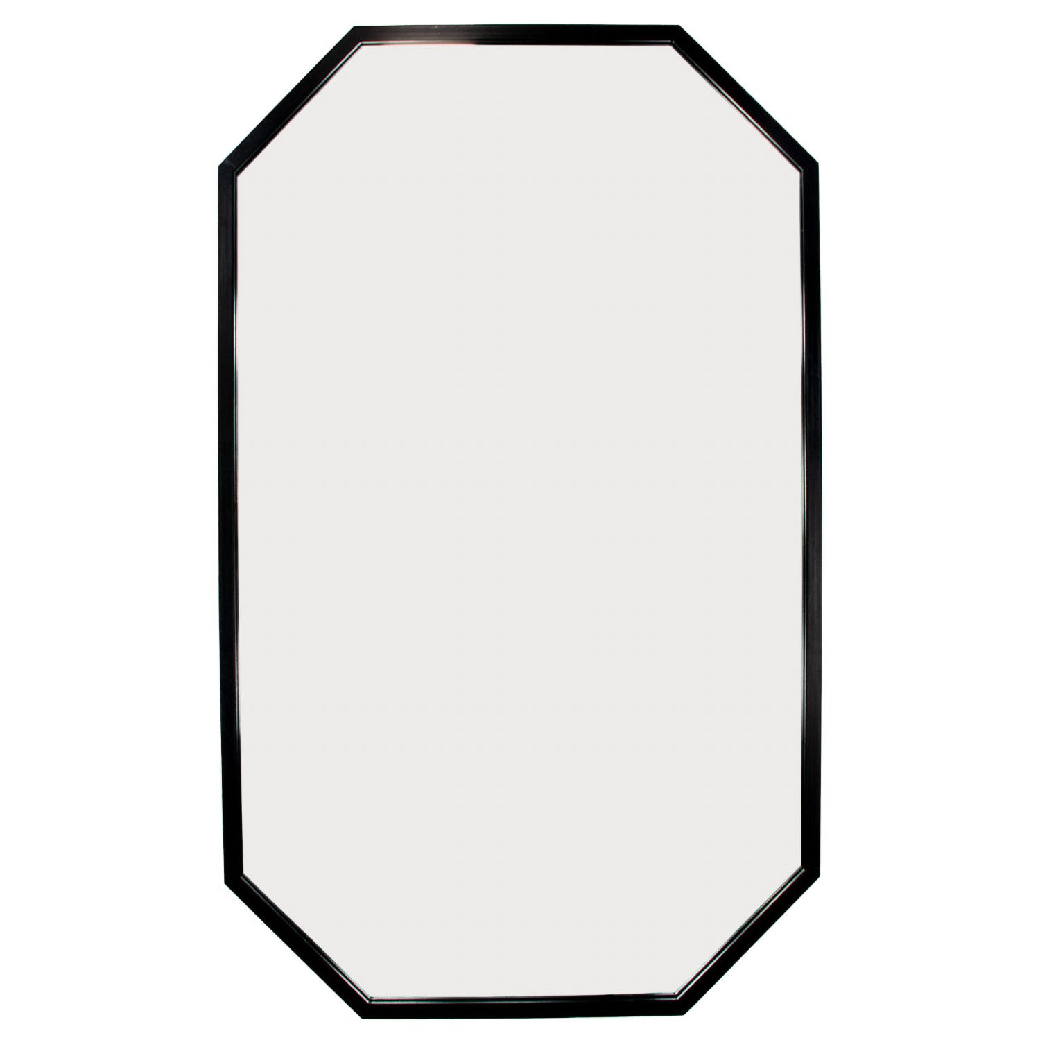 Transitional Metal Wall Mirror